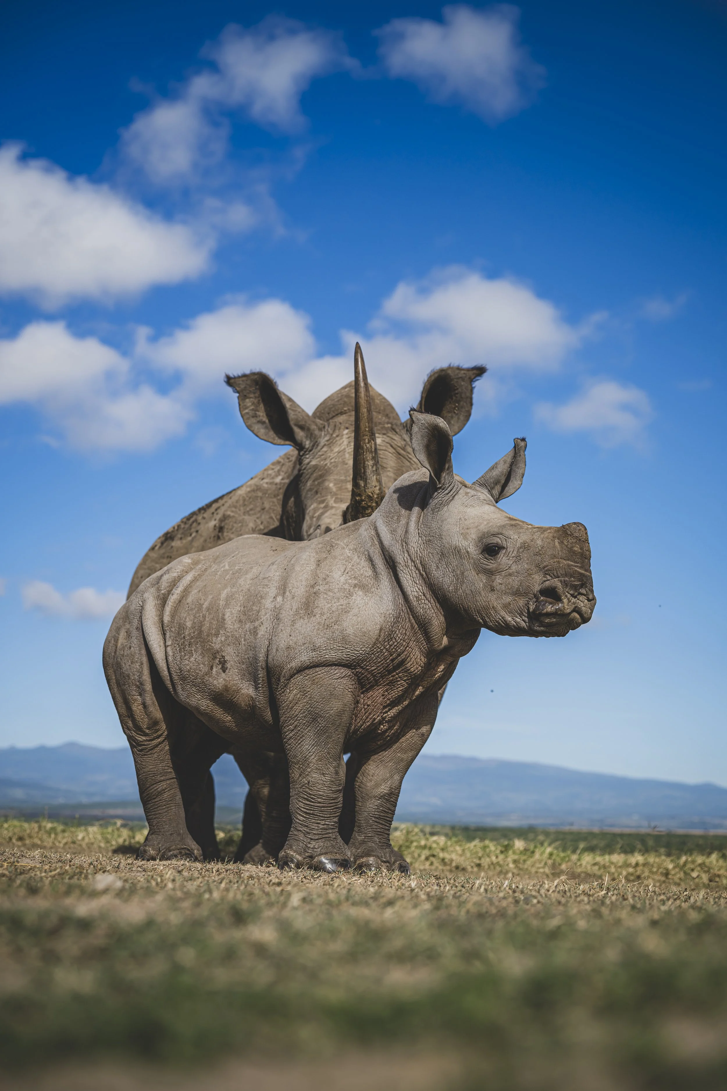 robert.waelter_kenya_wildphoto.guide-289.jpg