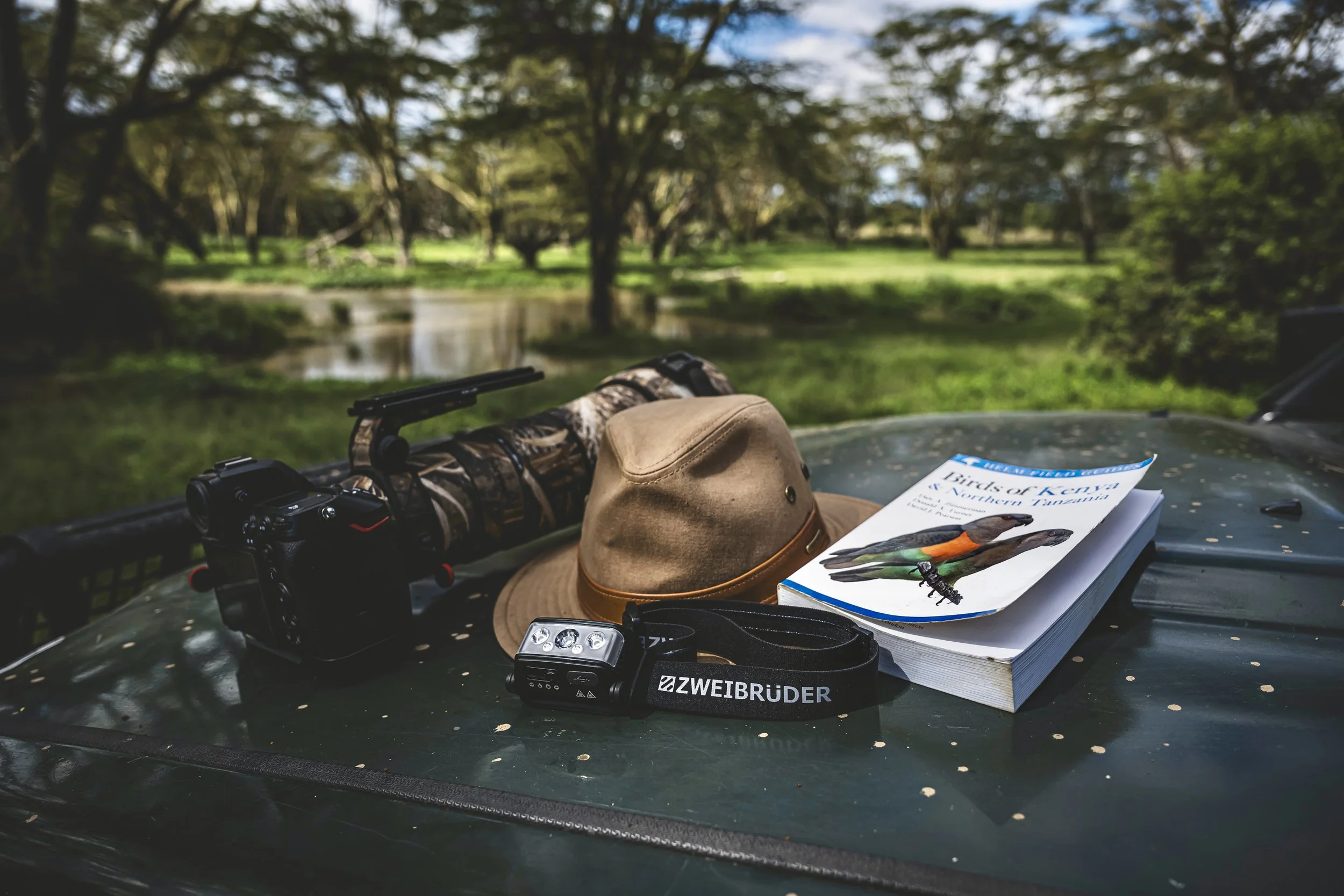 robert.waelter_kenya_wildphoto.guide-159.jpg