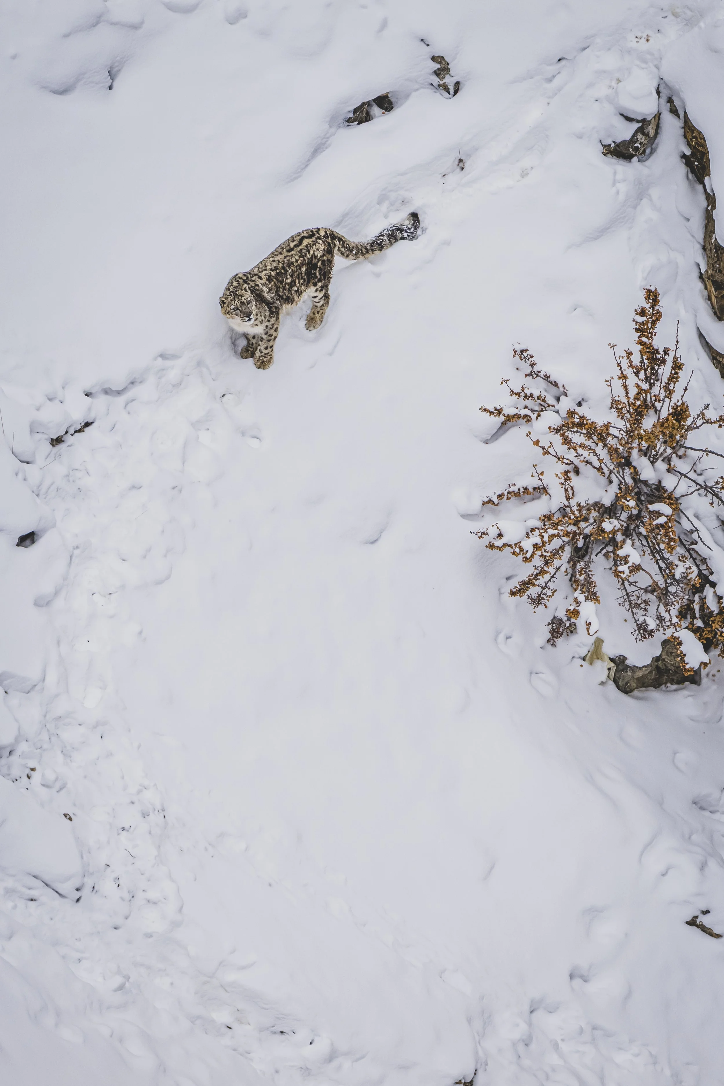 robert.waelter_poland_wildphoto.guide14.jpg