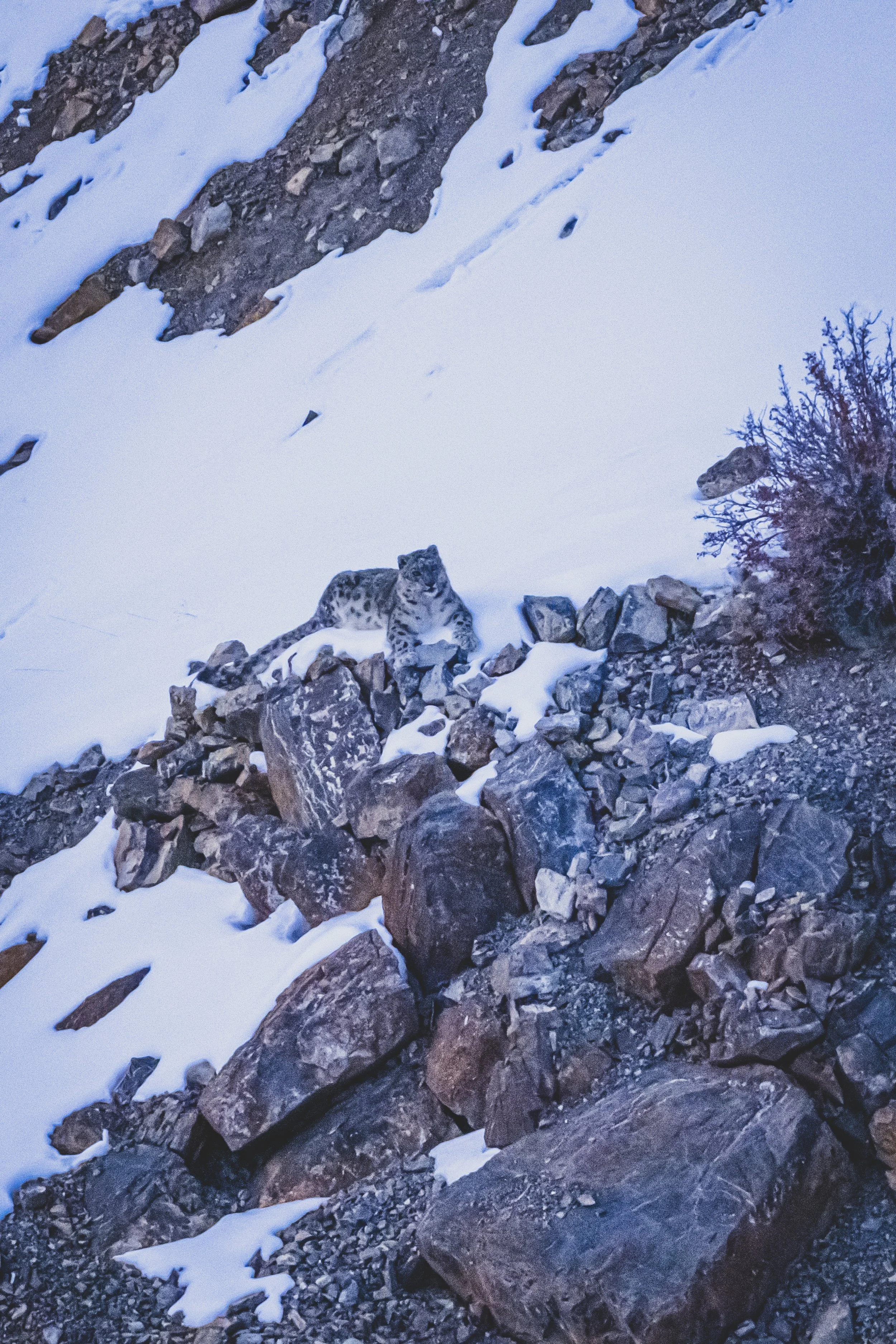 robert.waelter_poland_wildphoto.guide23.jpg