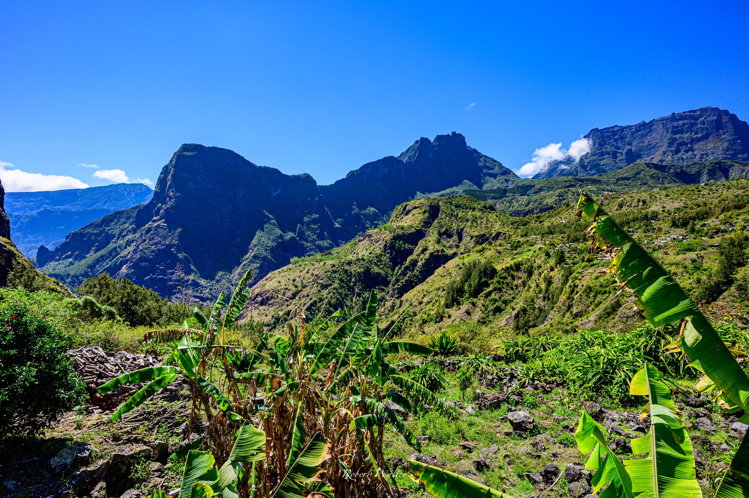 LaReunion-04.jpg