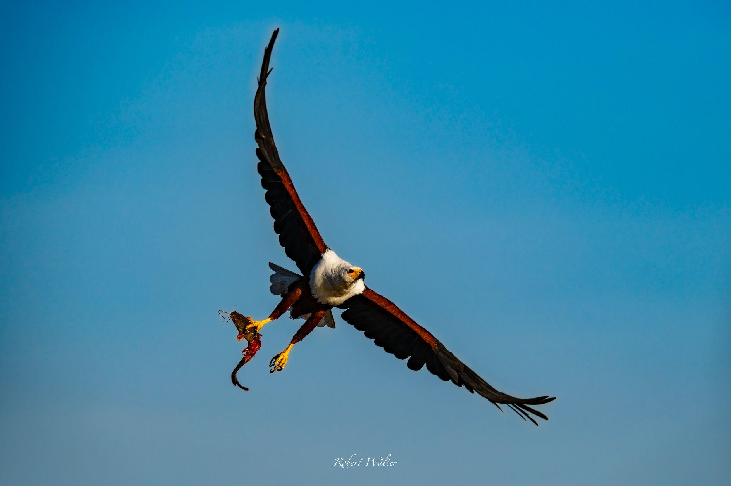 Kenia-12.jpg