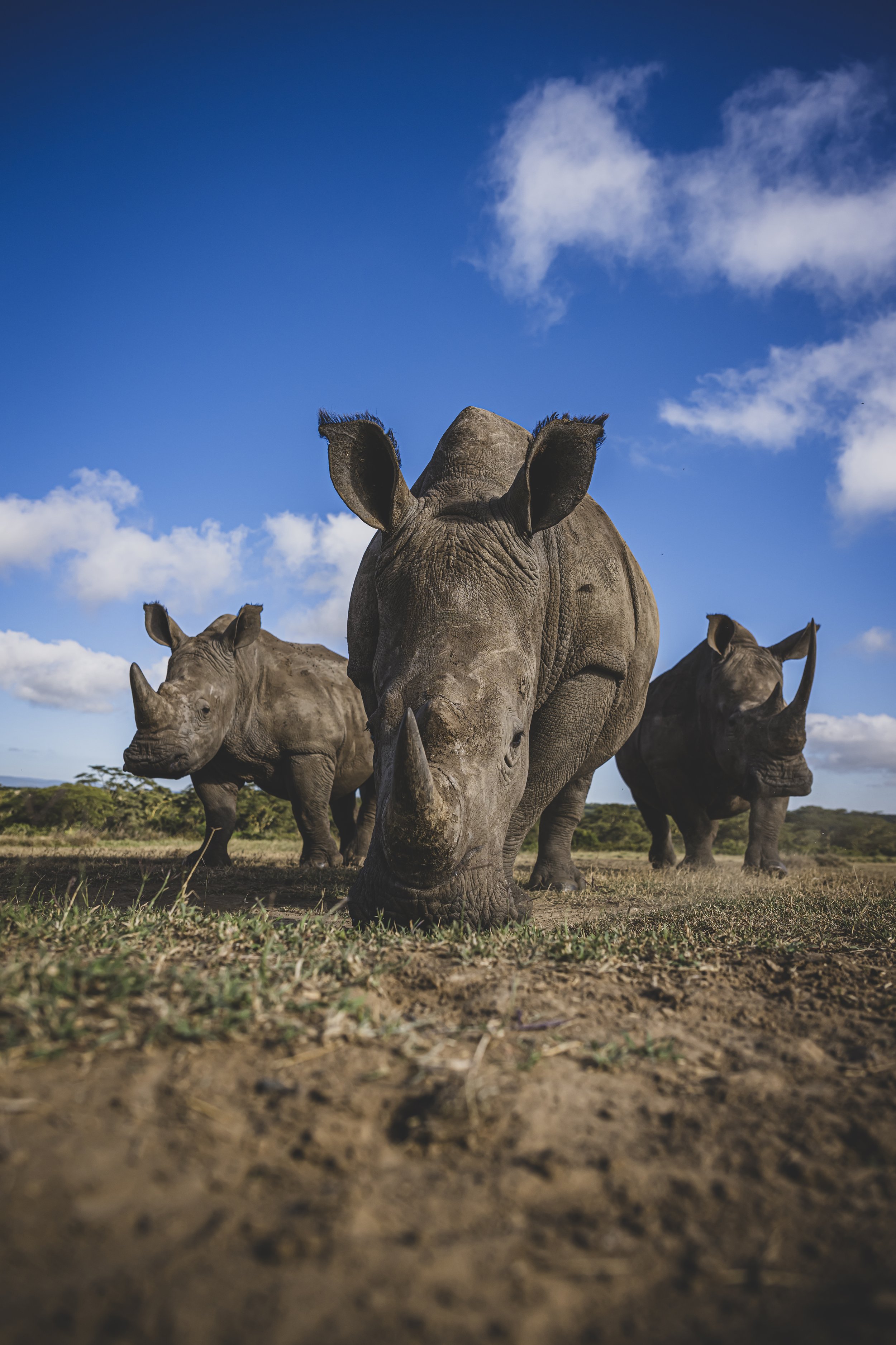 robert.waelter_kenya_wildphoto.guide-171.jpg