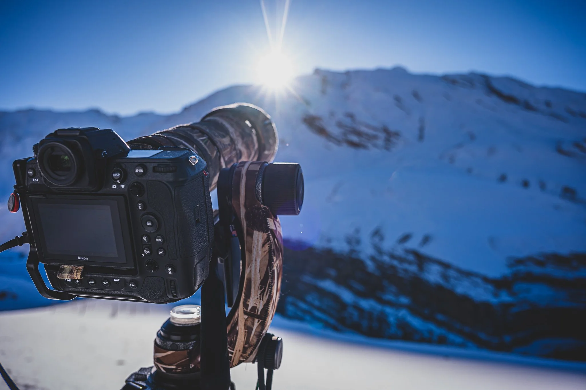Schneeleoparden, Spotting mit Kamera