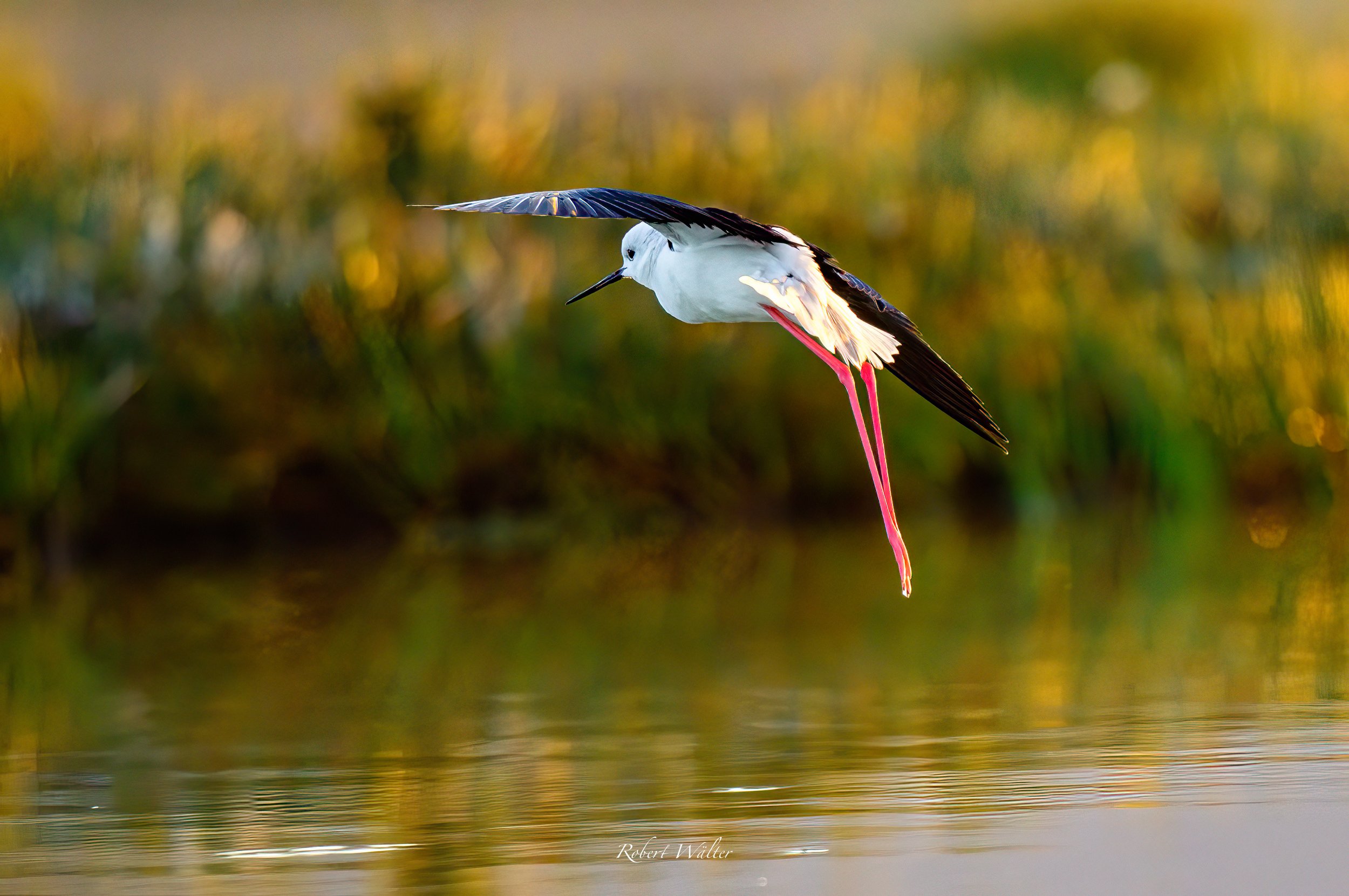 Kenia-03.jpg