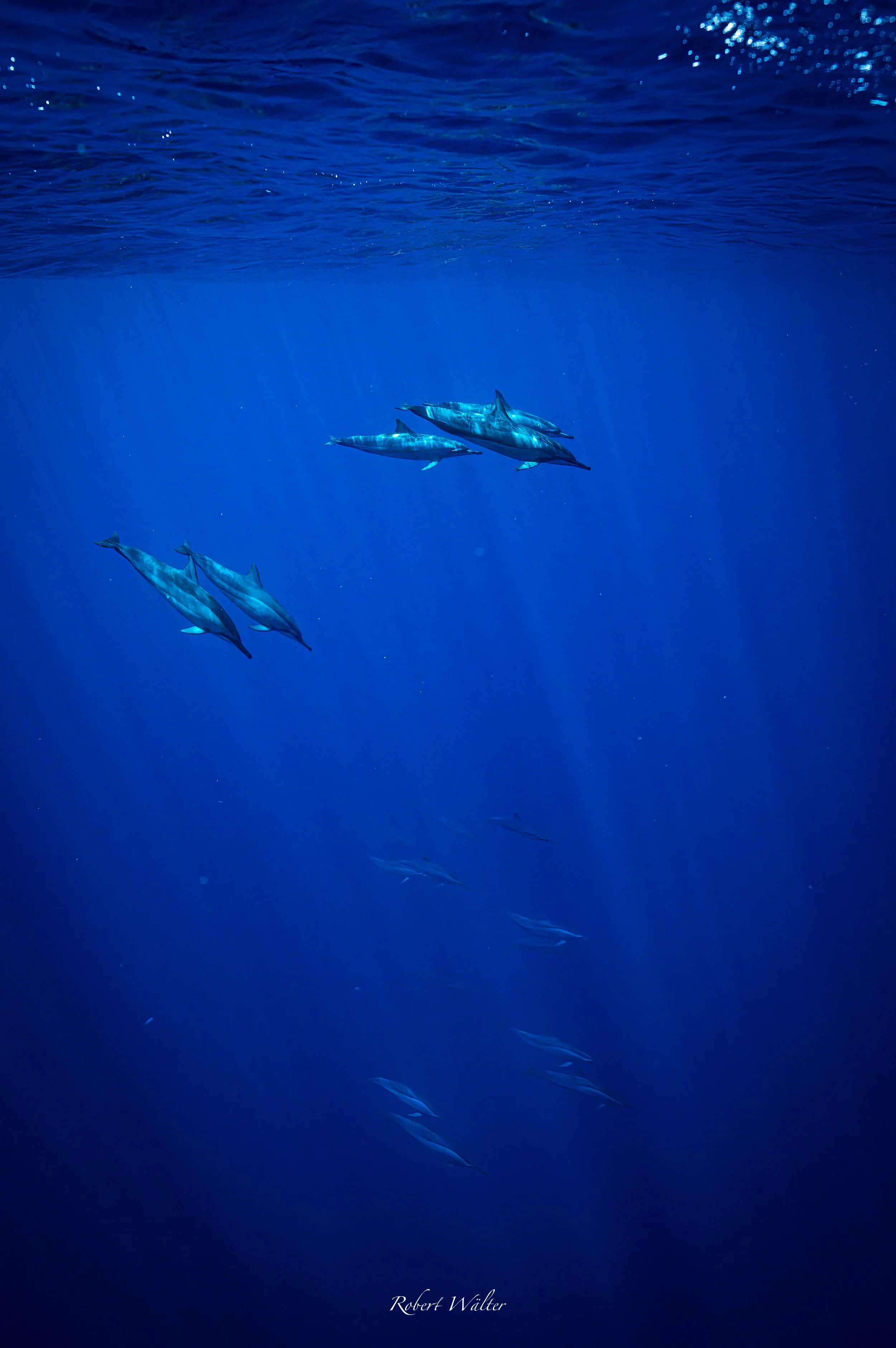 LaReunion-05.jpg