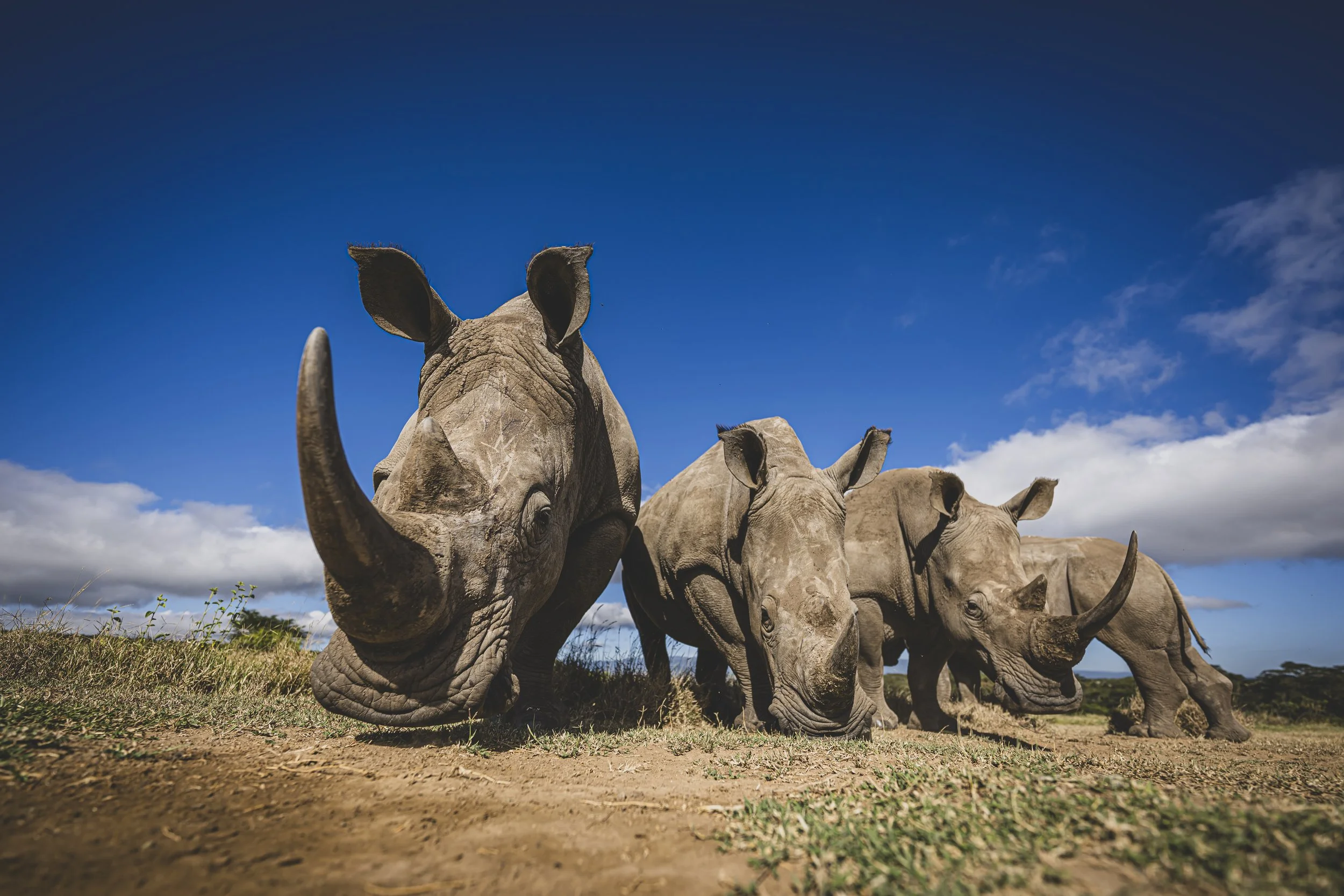 robert.waelter_kenya_wildphoto.guide-350.jpg