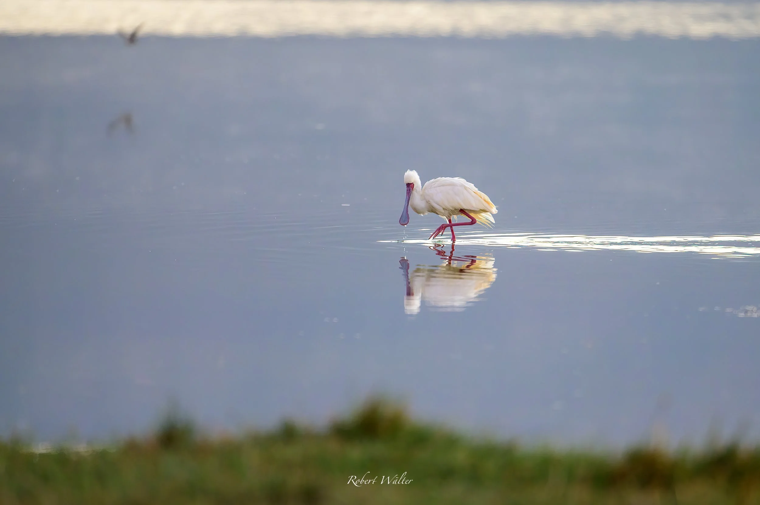 Kenia-01.jpg