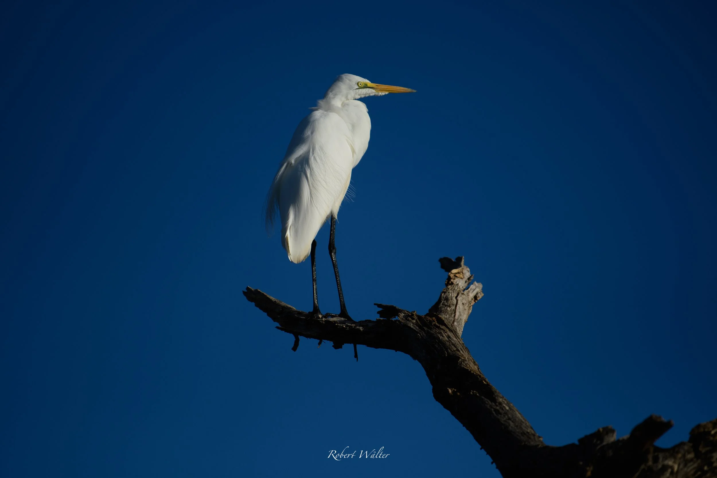 Kenia-09.jpg
