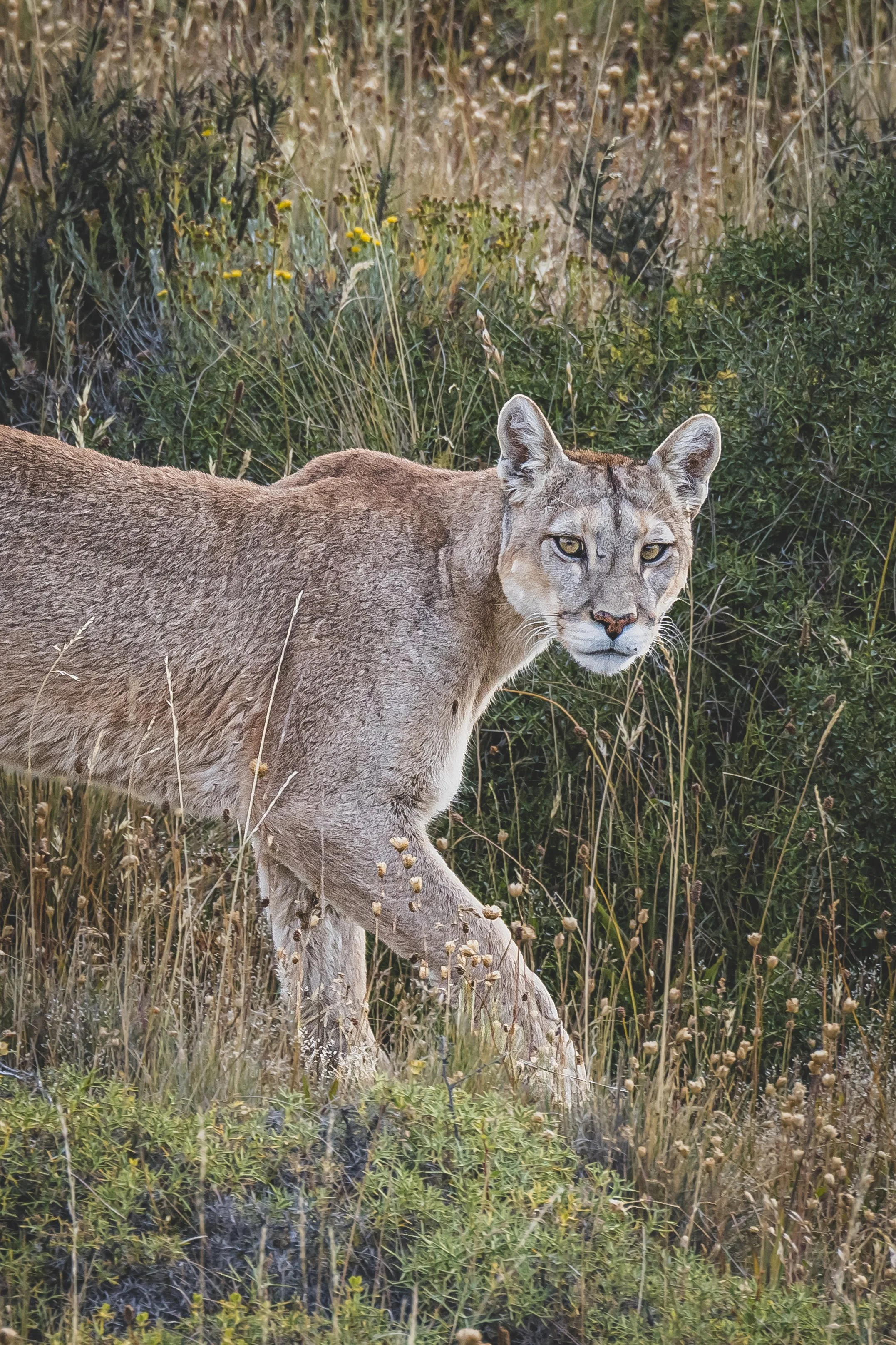 _RW46230-2.jpg