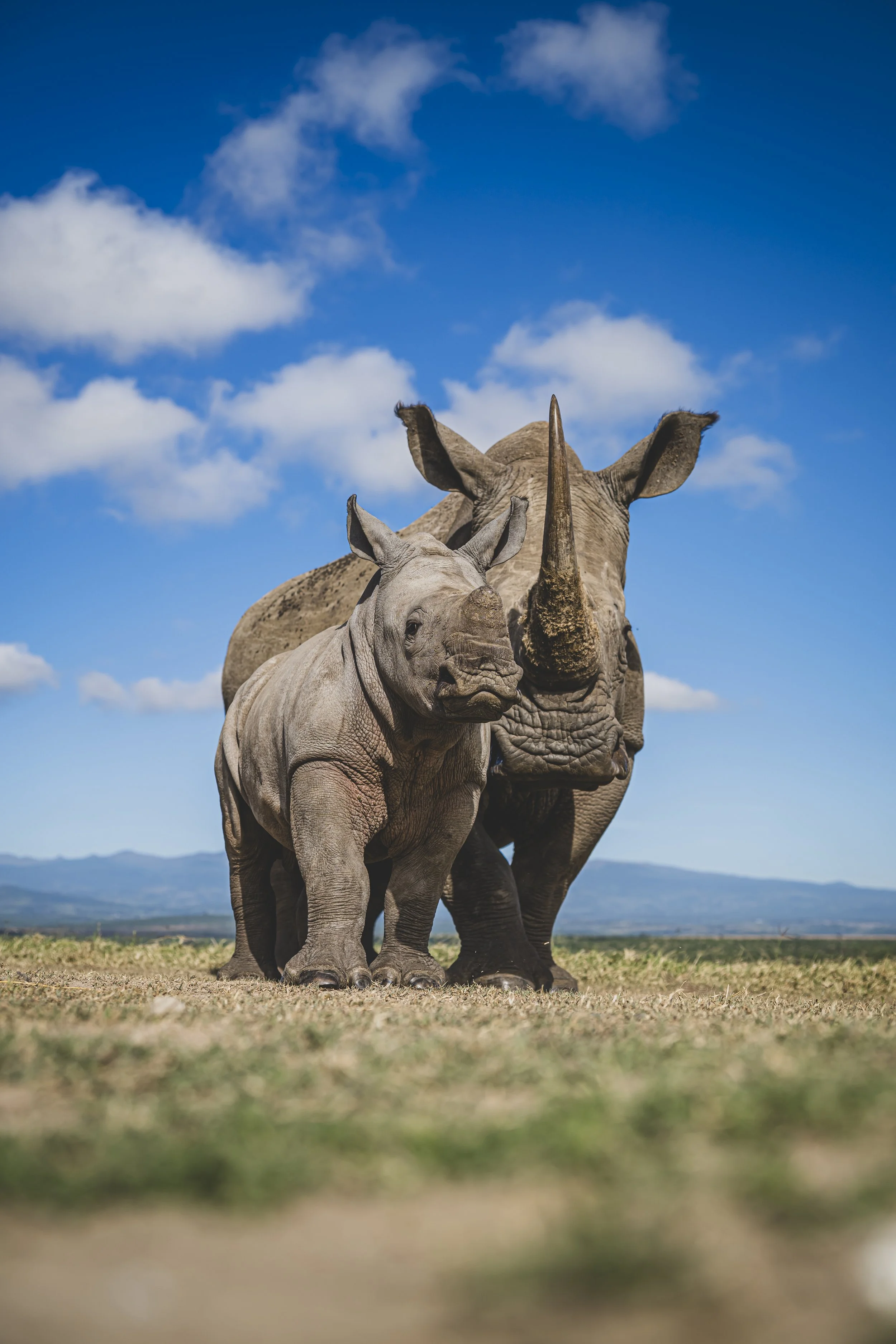 robert.waelter_kenya_wildphoto.guide-261.jpg
