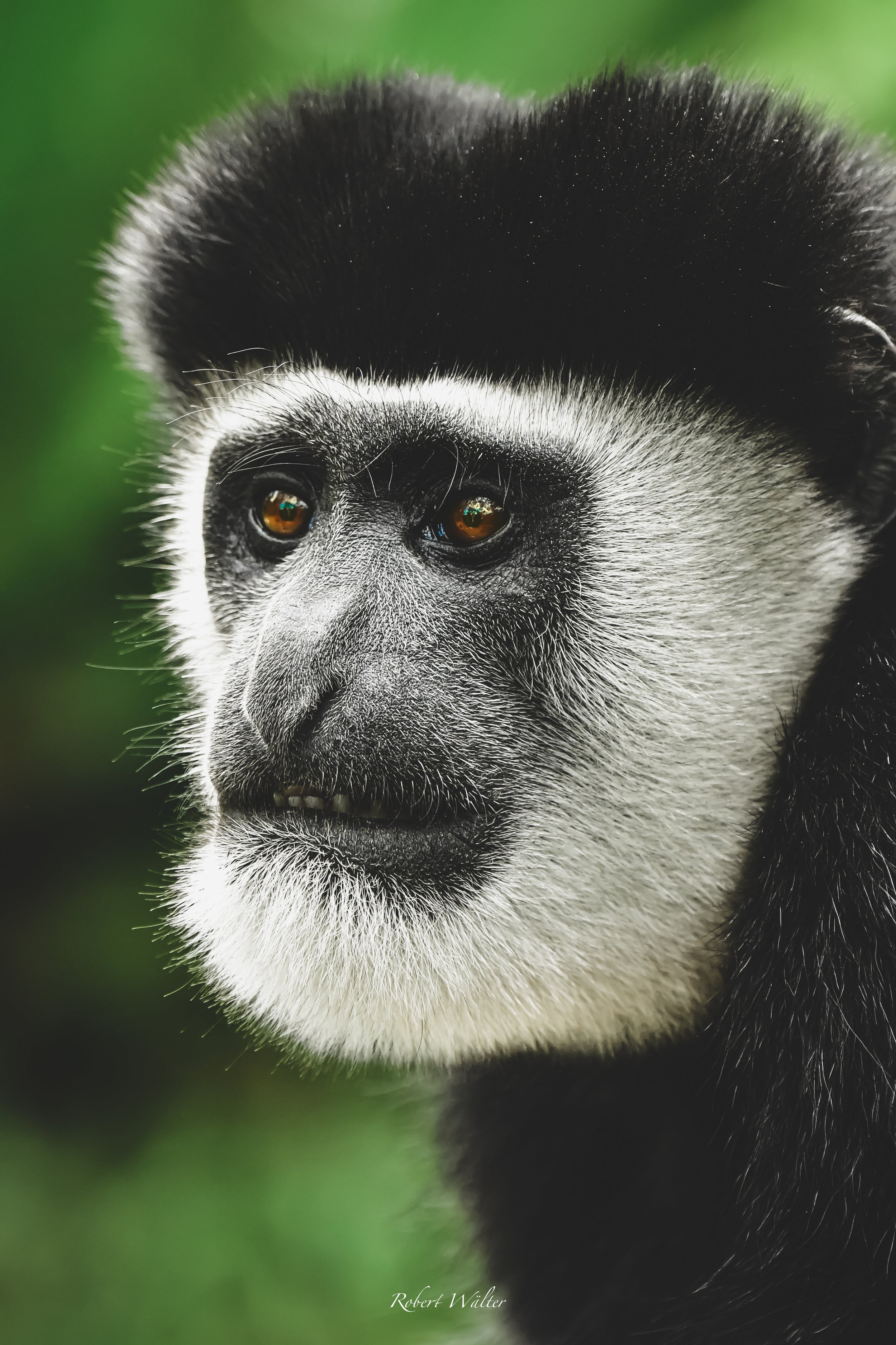 Kenia-14.jpg