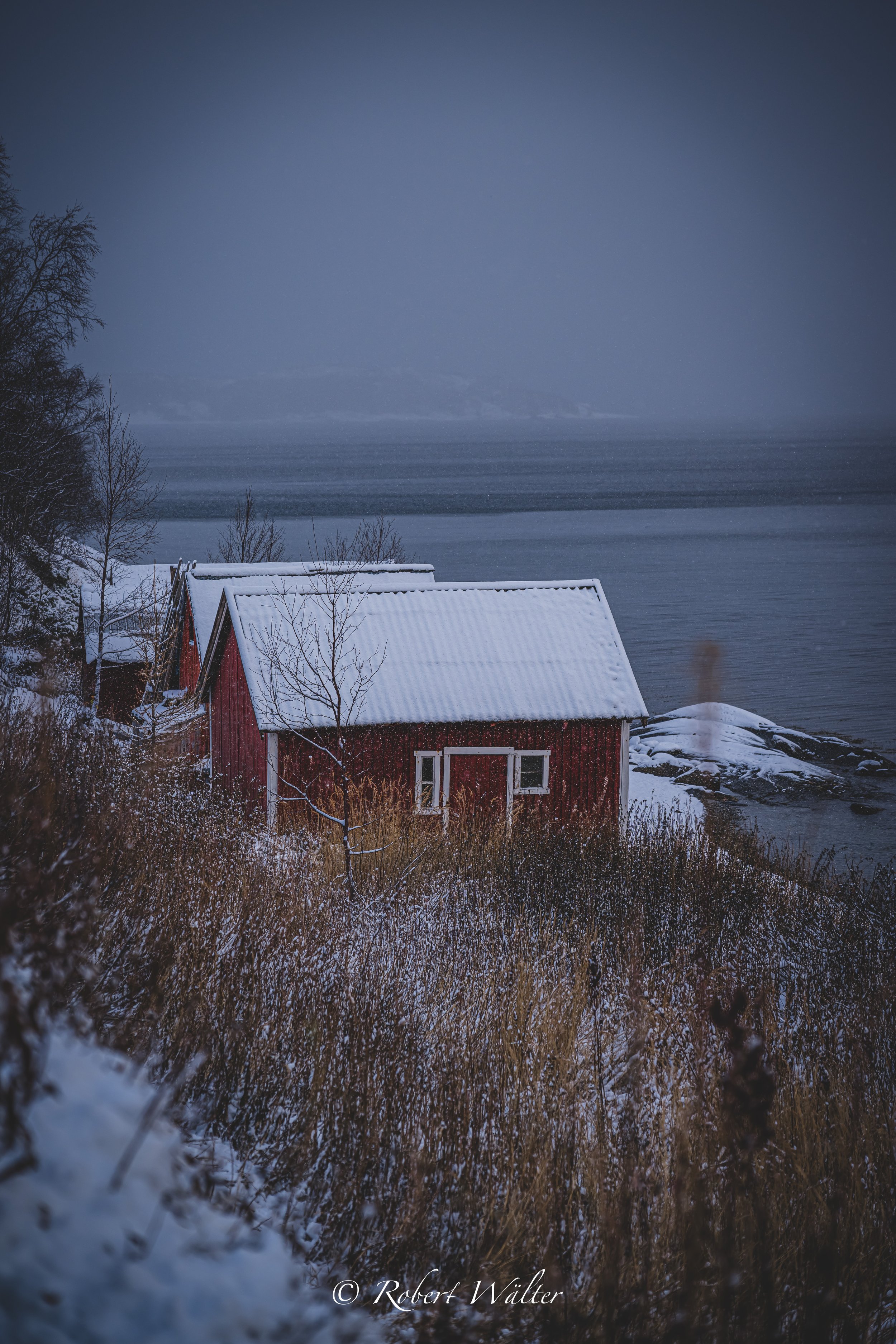 _RWG0449.jpg