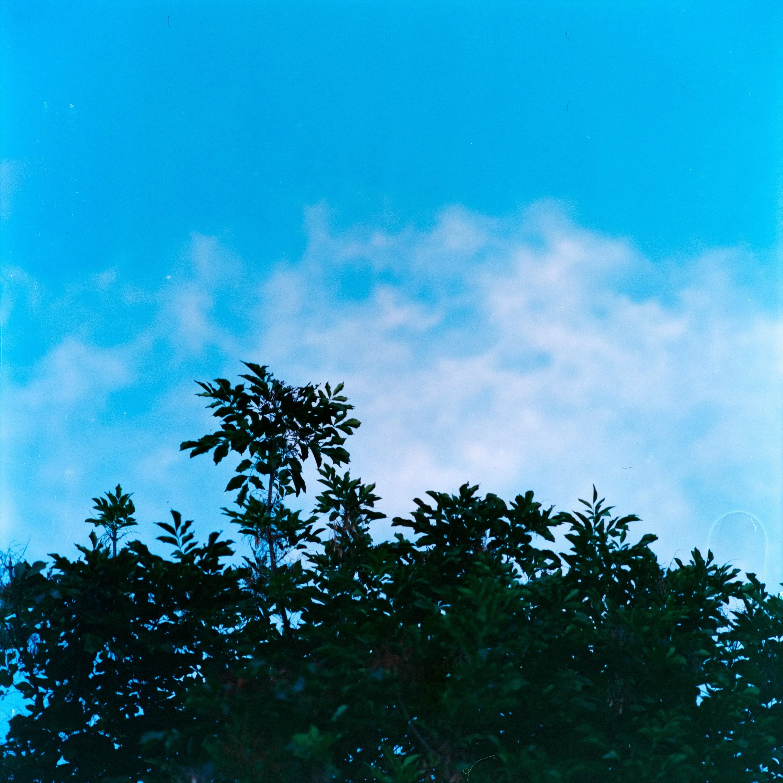 B8B52BC3-BBA3-48AE-B47F-FEDB7D5FE326.jpeg