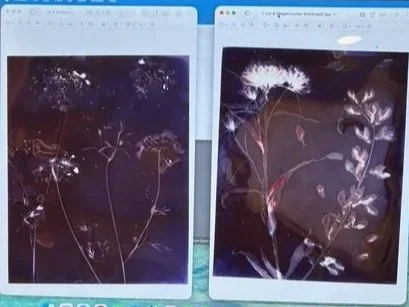 Lumen Printing