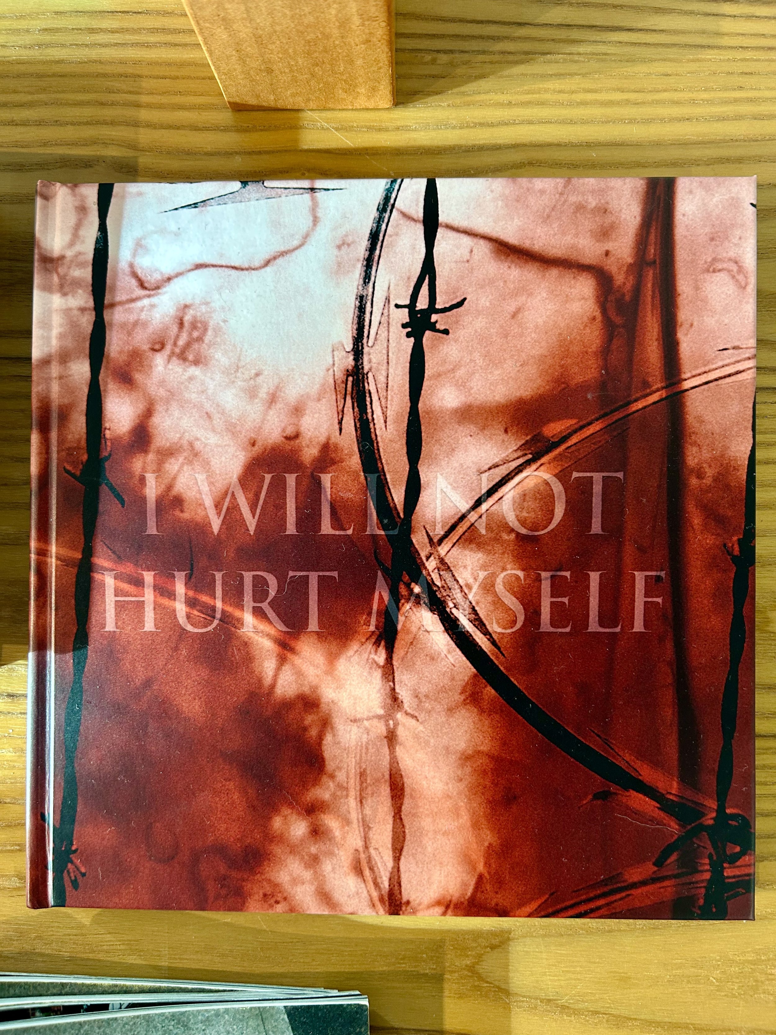 I Will Not Hurt Myself / I Will Not Hurt Others By Michele Thompson - Limited Edition