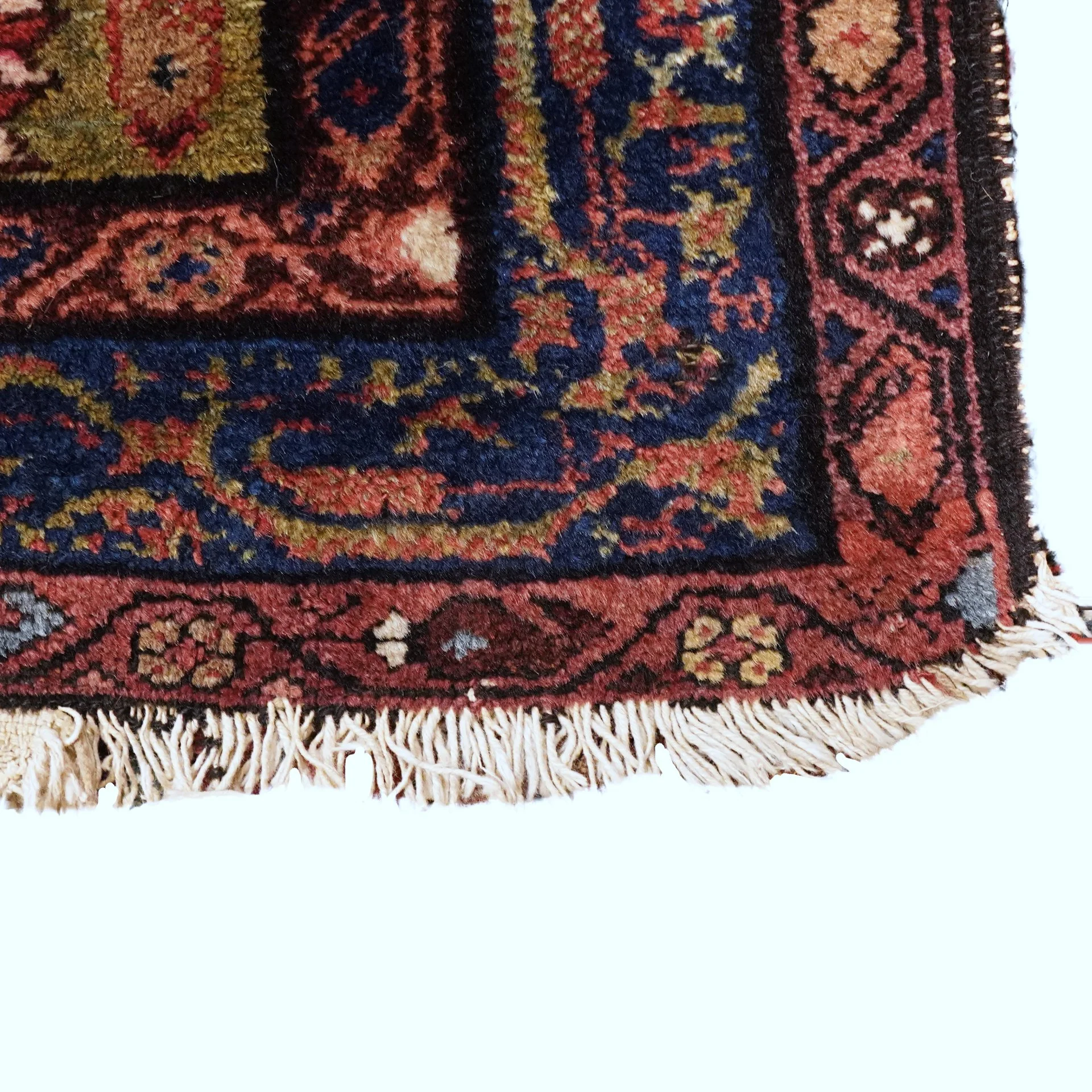 5944 to conserve.jpg