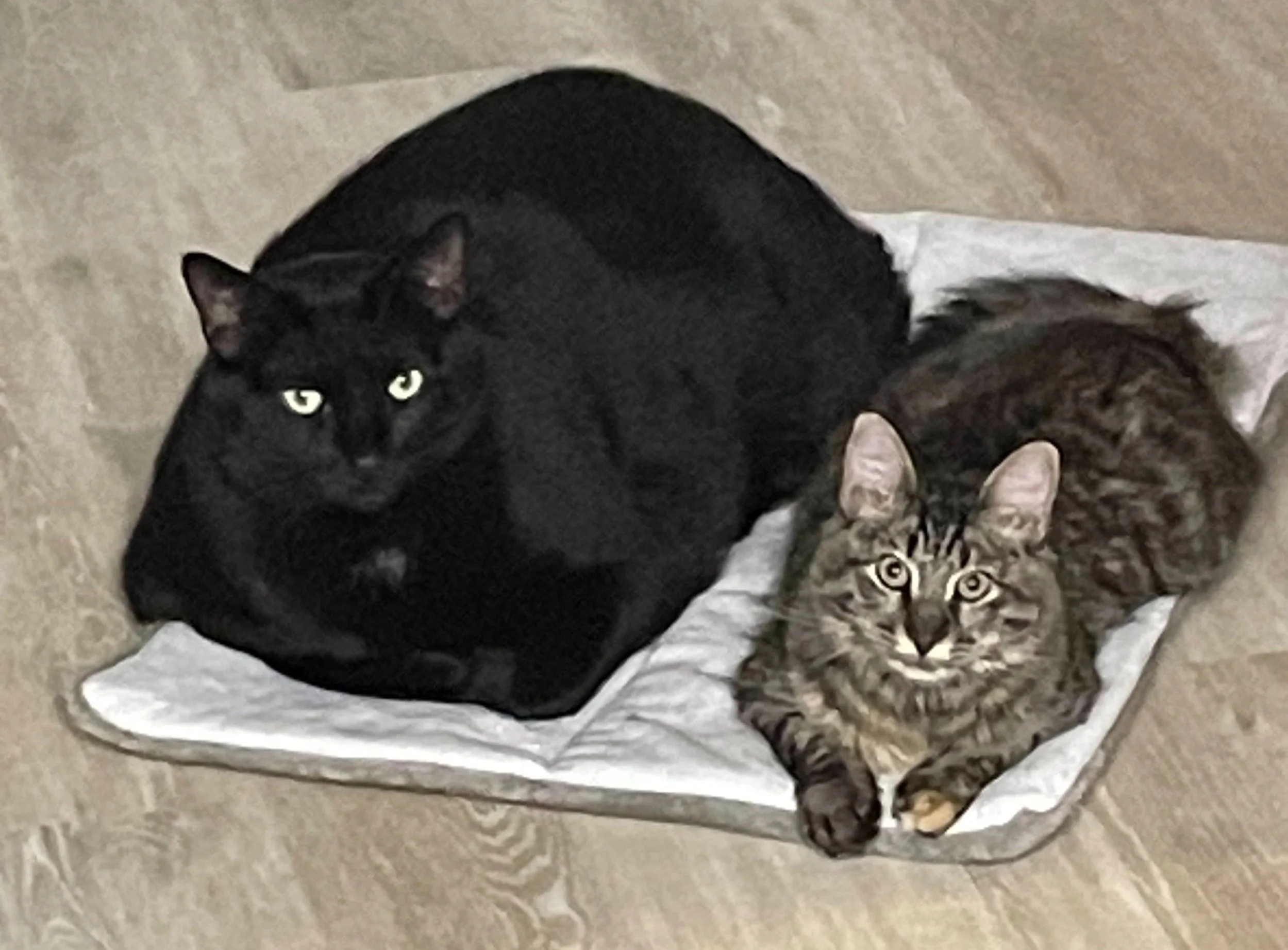 Bert and Charlie