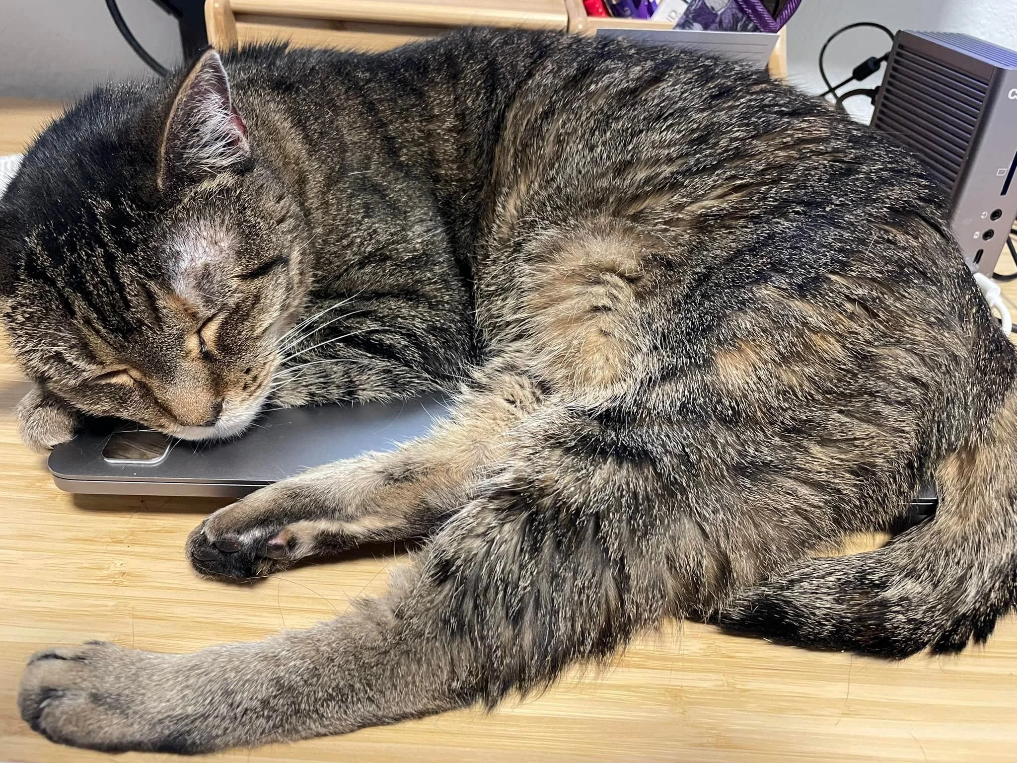 Pauli Purry