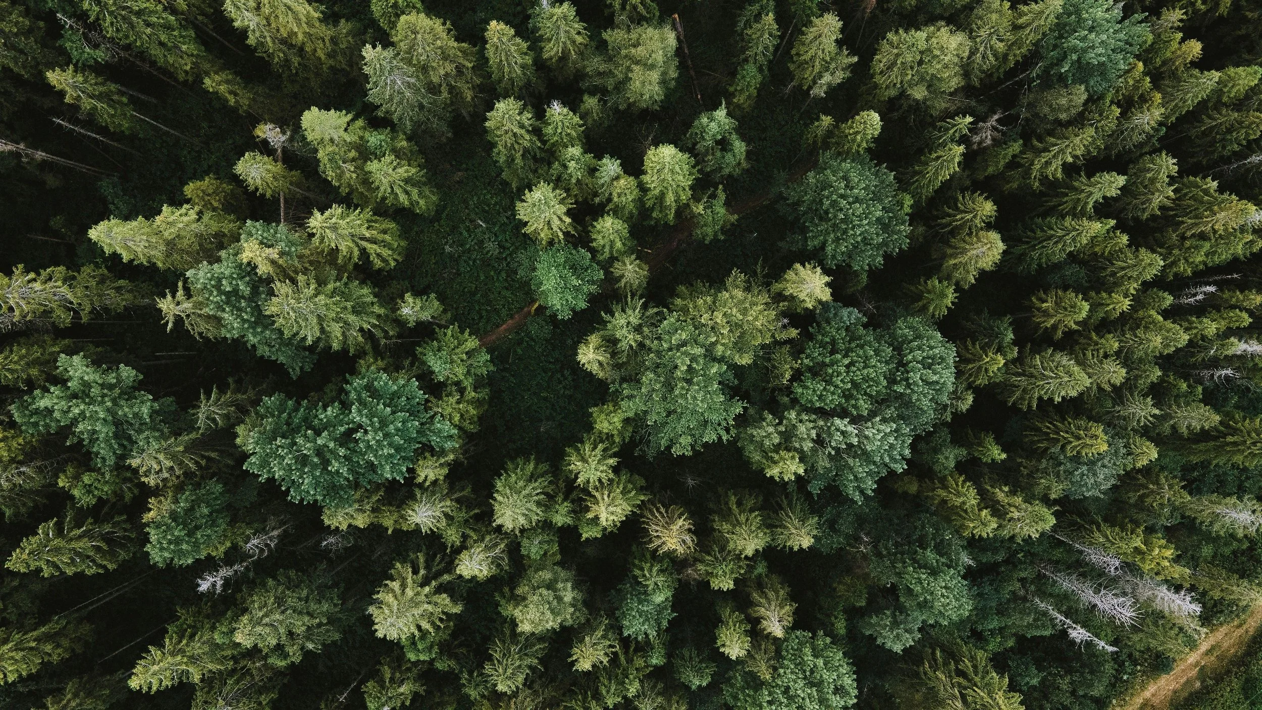 Sustainable textiles