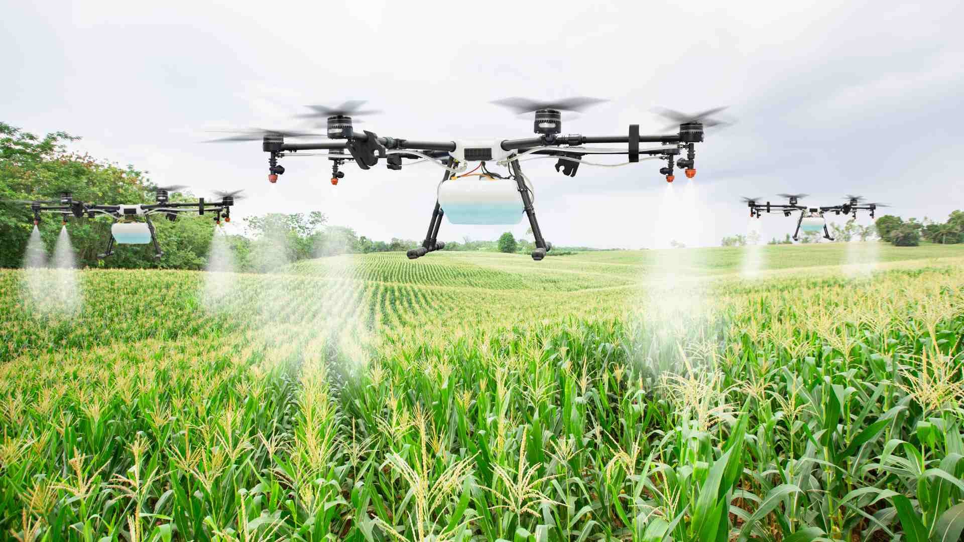 Did You Know? The Top 5 Farm Tech Gadgets Saving Kiwi Farmers Time and Money in 2024