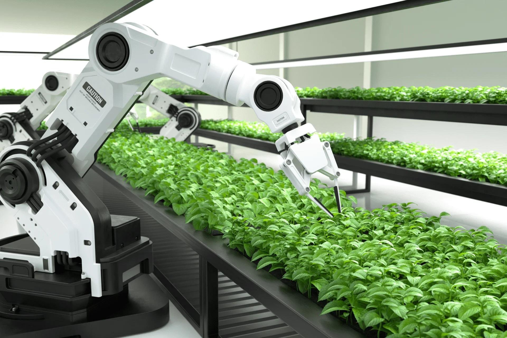 The Future of Farming: How AI is Revolutionizing Agriculture
