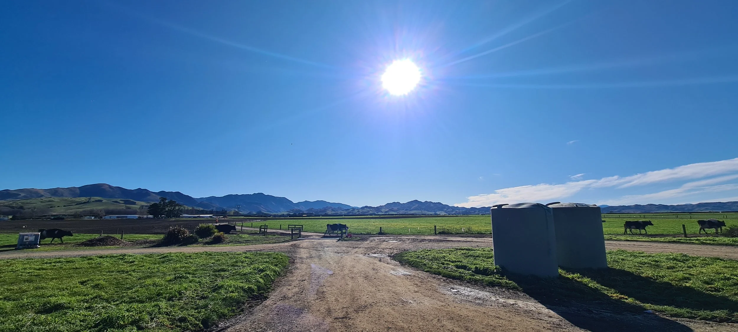 From Soil to Success: Helping Kenmare Farm Harness the Power of Smart Farming