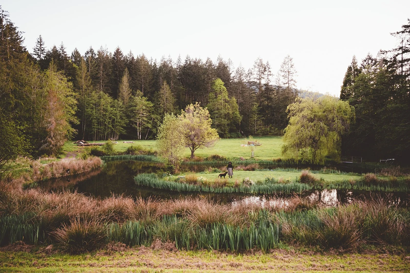 NARM Therapy: Real-Time Nervous System Healing