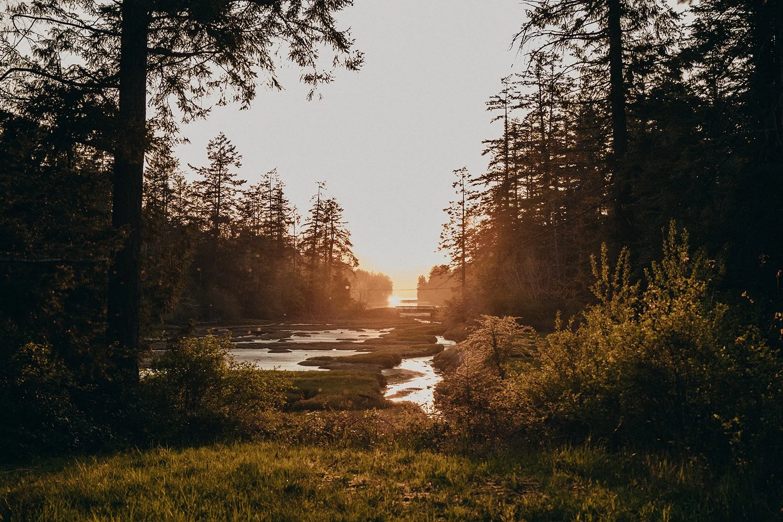 Psychedelic Therapy, Preparation &amp; Integration