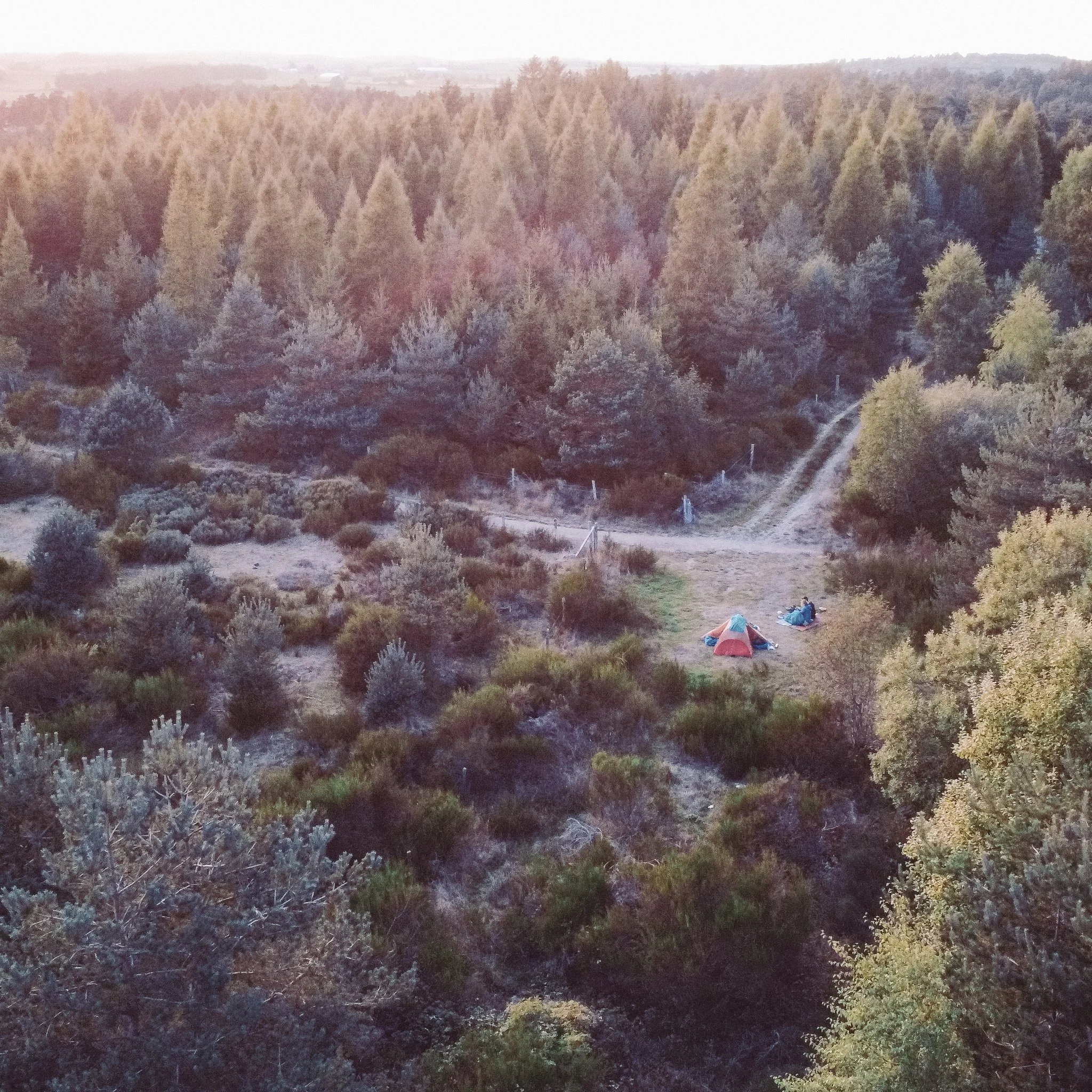 View of a forested landscape with trees and hills in the distance, with a group of tents and camping gear at the bottom right.