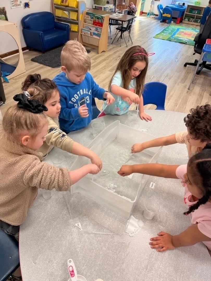 IMG_2509.jpeg