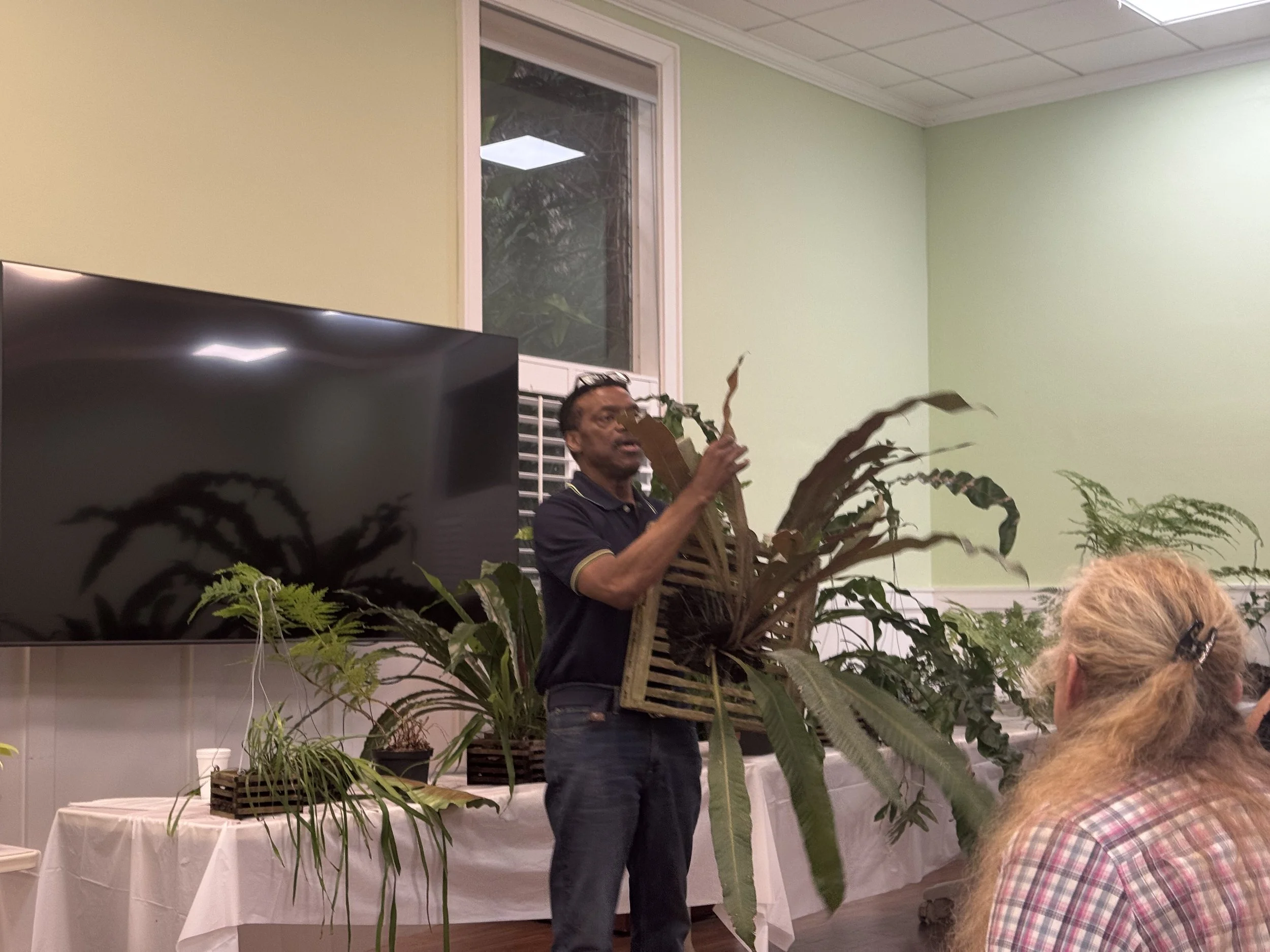Reggie Whitehead holds up a fern so that the spores under the frond are visible