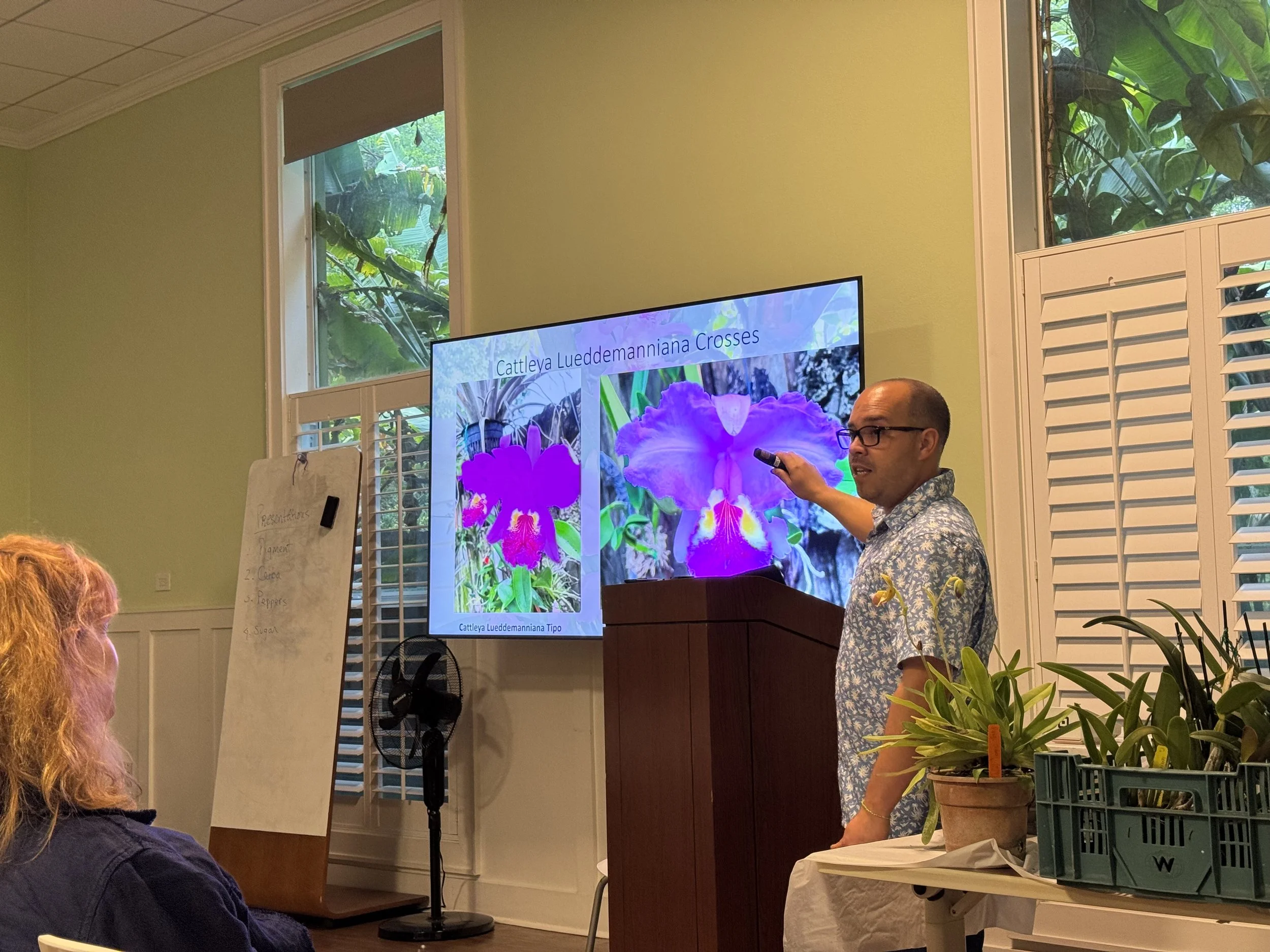 Alex bello gesturing toward a slide with photos of 2 cattleya hybrids side by side