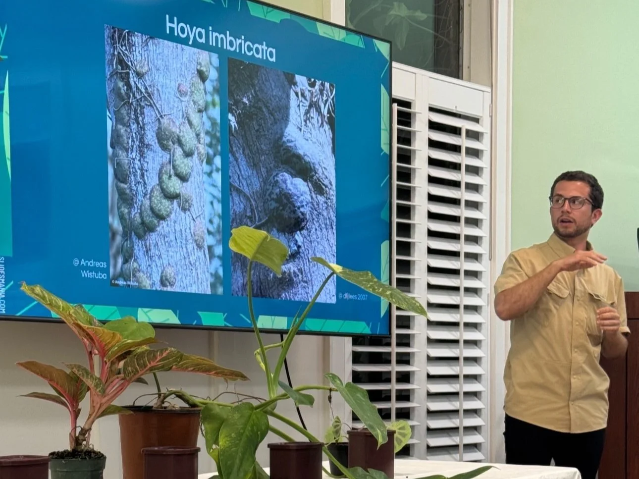Horticulturalist Palmer Crippen and a slide depicting Hoya Imbricata