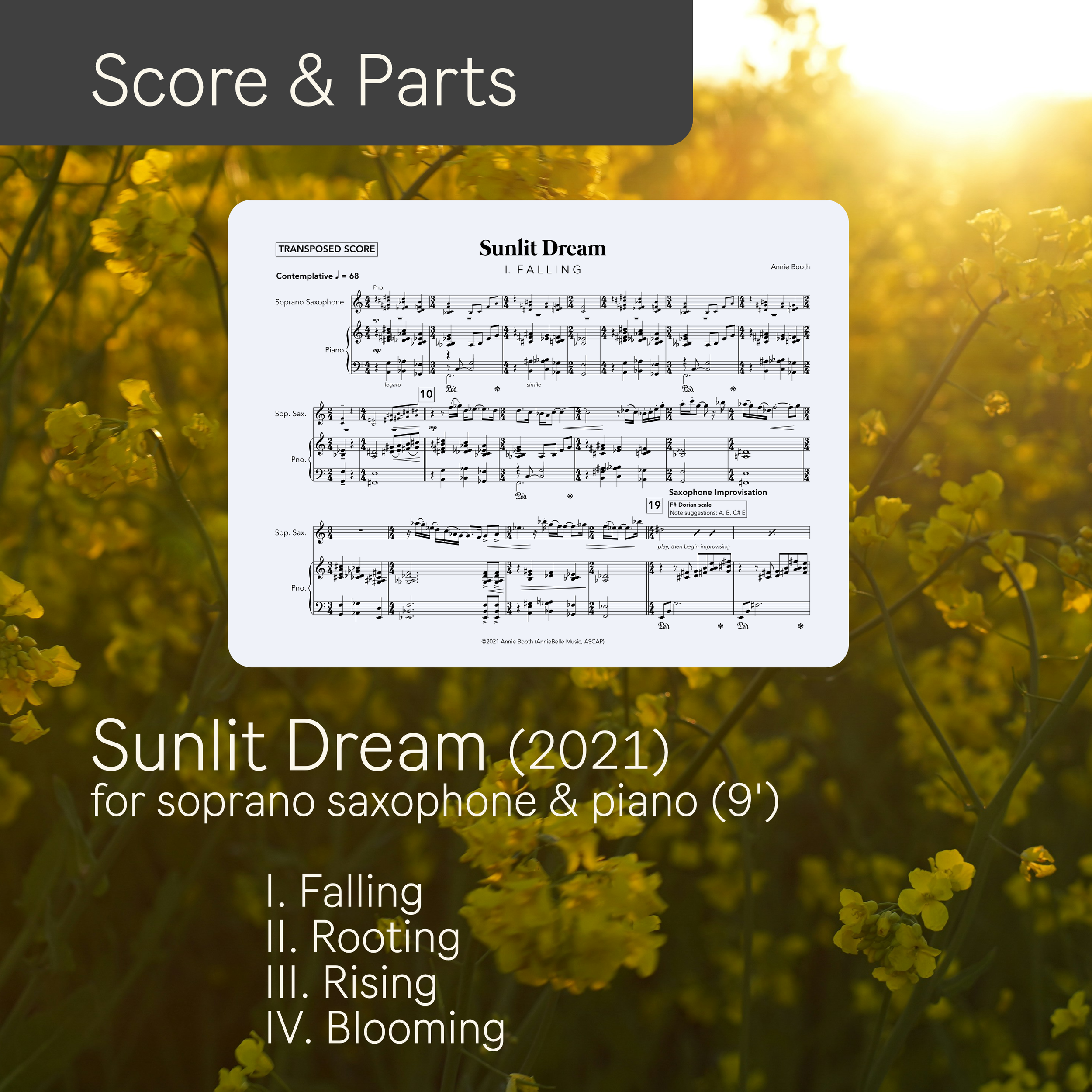 sunlit dream_merch.png