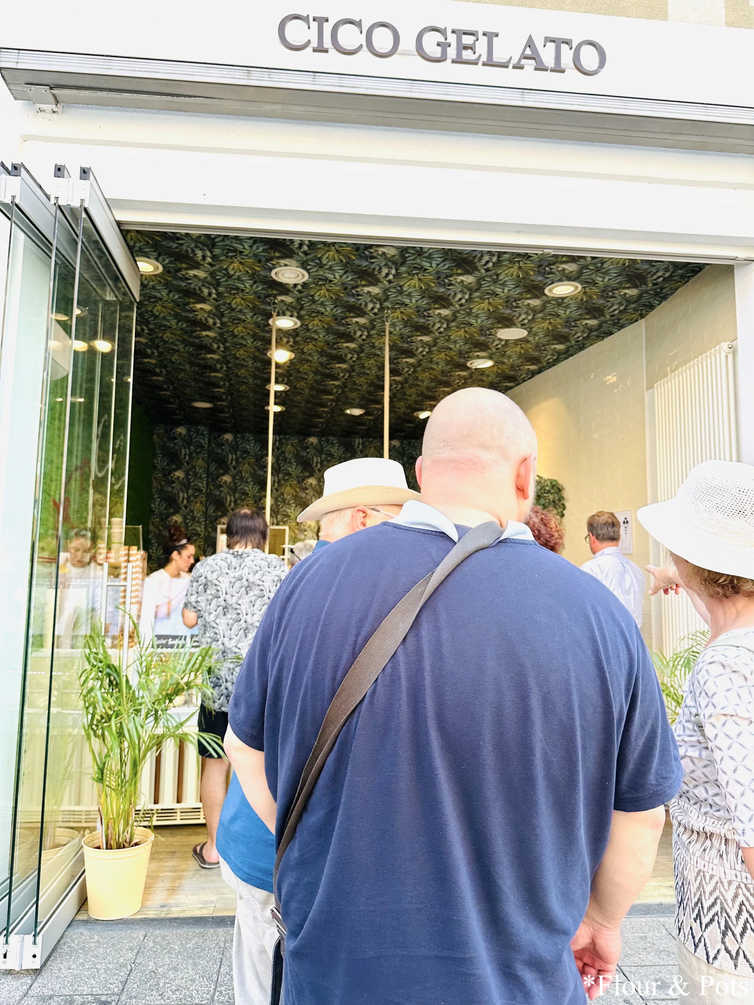 Storefront of Cico Gelateria Artigianale in Würzburg, Germany, featuring a clean, charming façade with greenery and signage.
