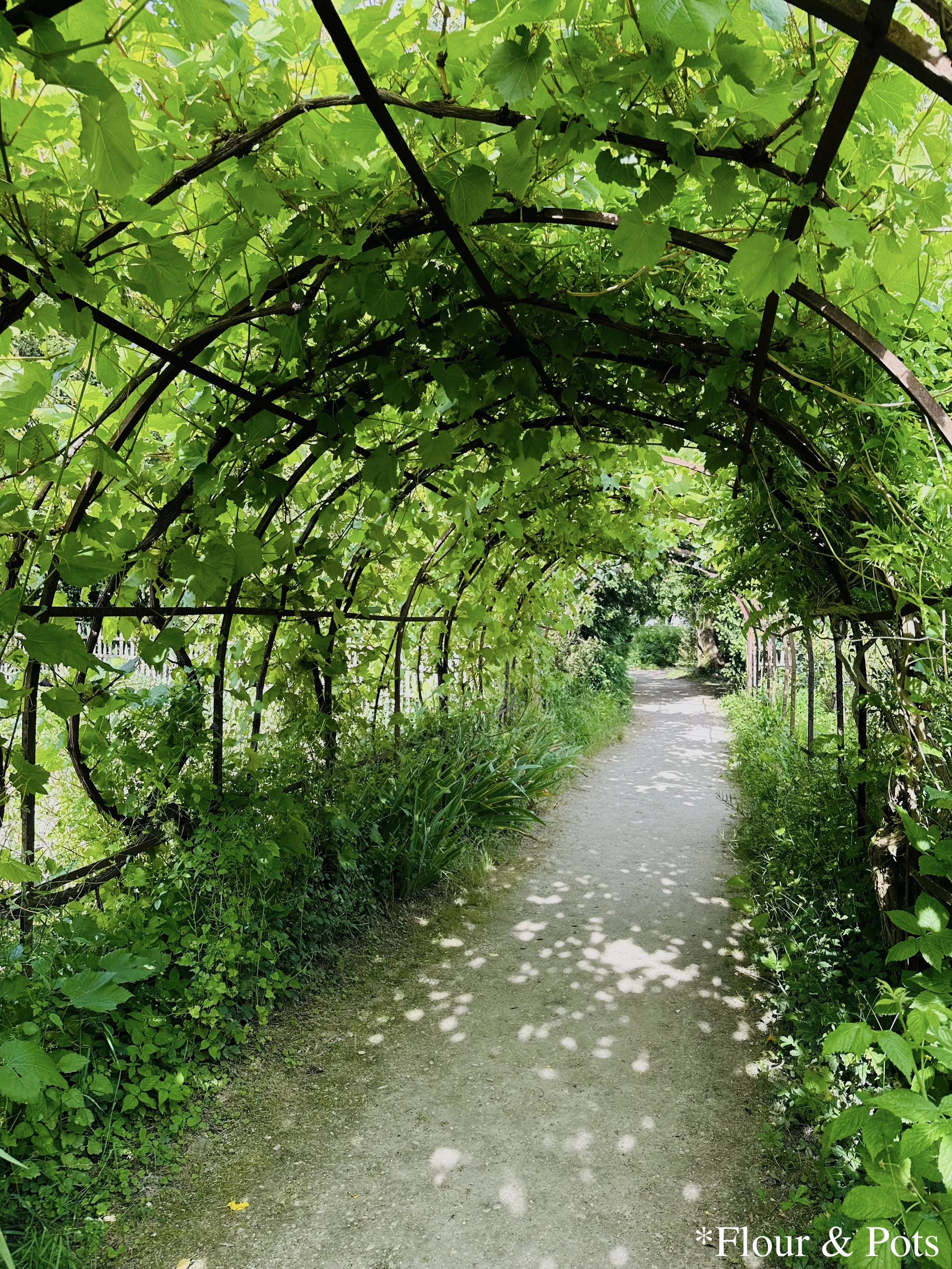 A green, lush plant vine tunnel in the garden area of the Queen’s Hamlet at the Palace of Versailles.