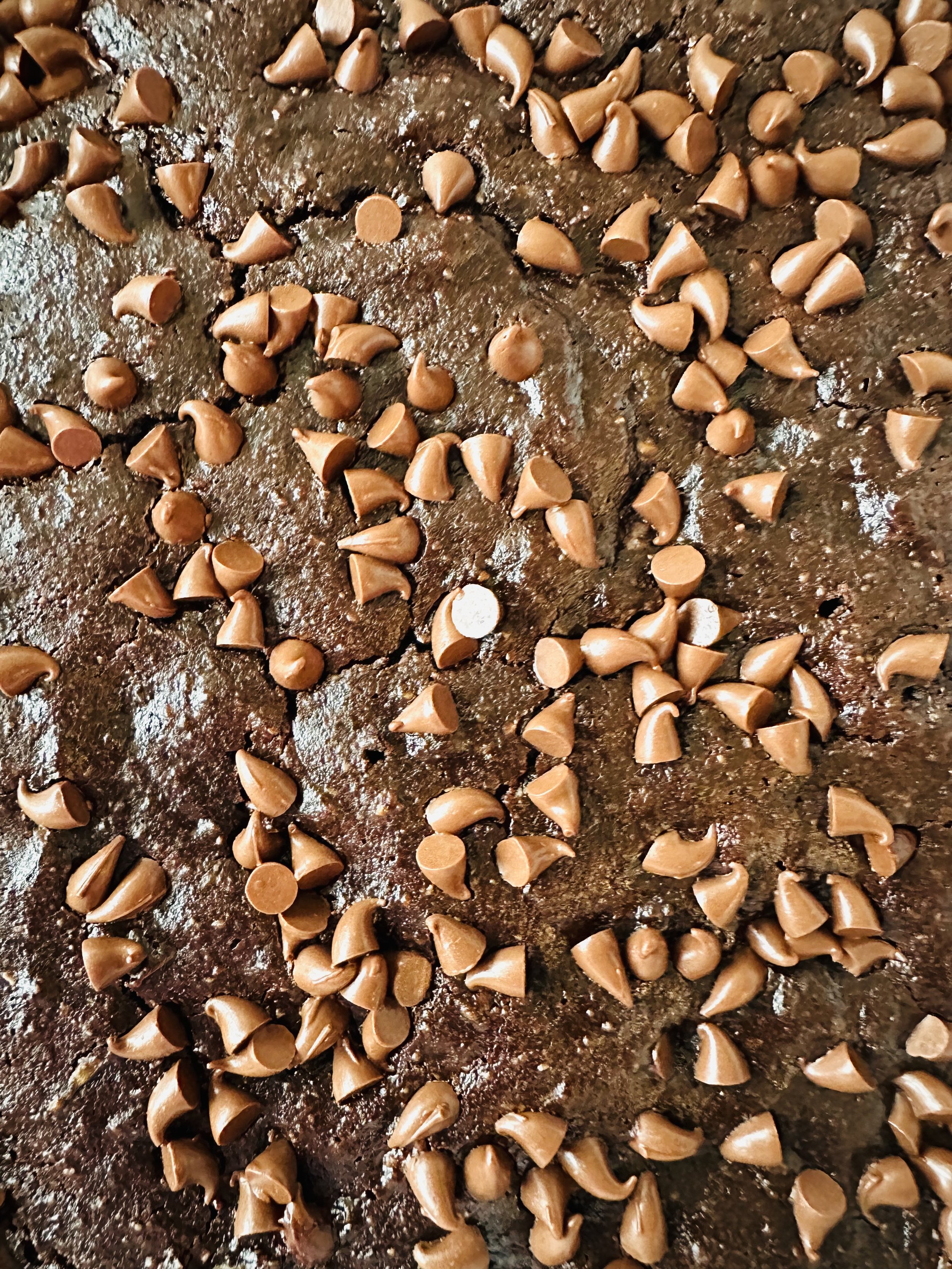 Gooey Chocolate Avocado Brownies (Healthier &amp; Gluten-Free)