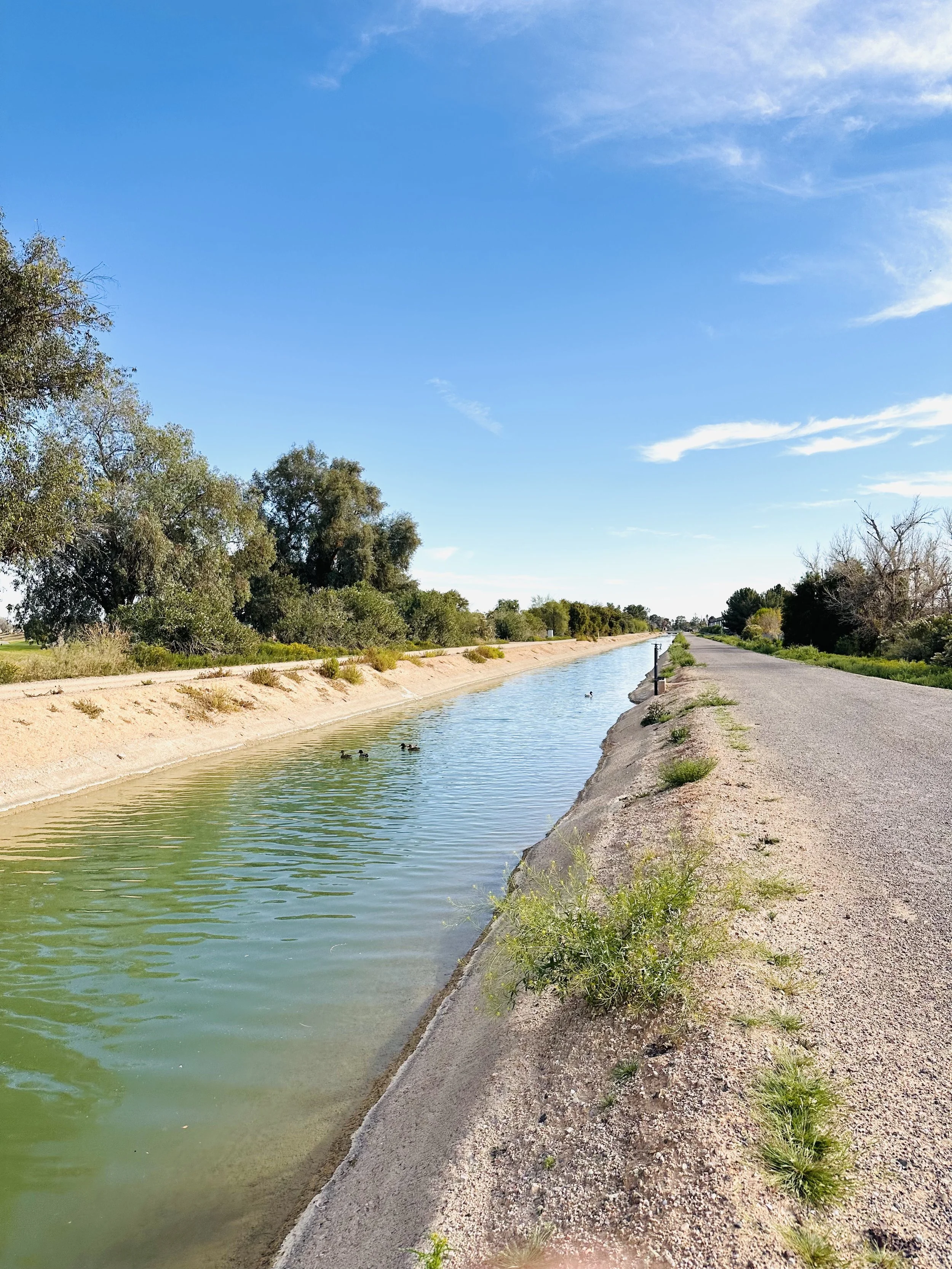 Phoenix, Arizona Travel &amp; Food Guide ☀️🌵☀️