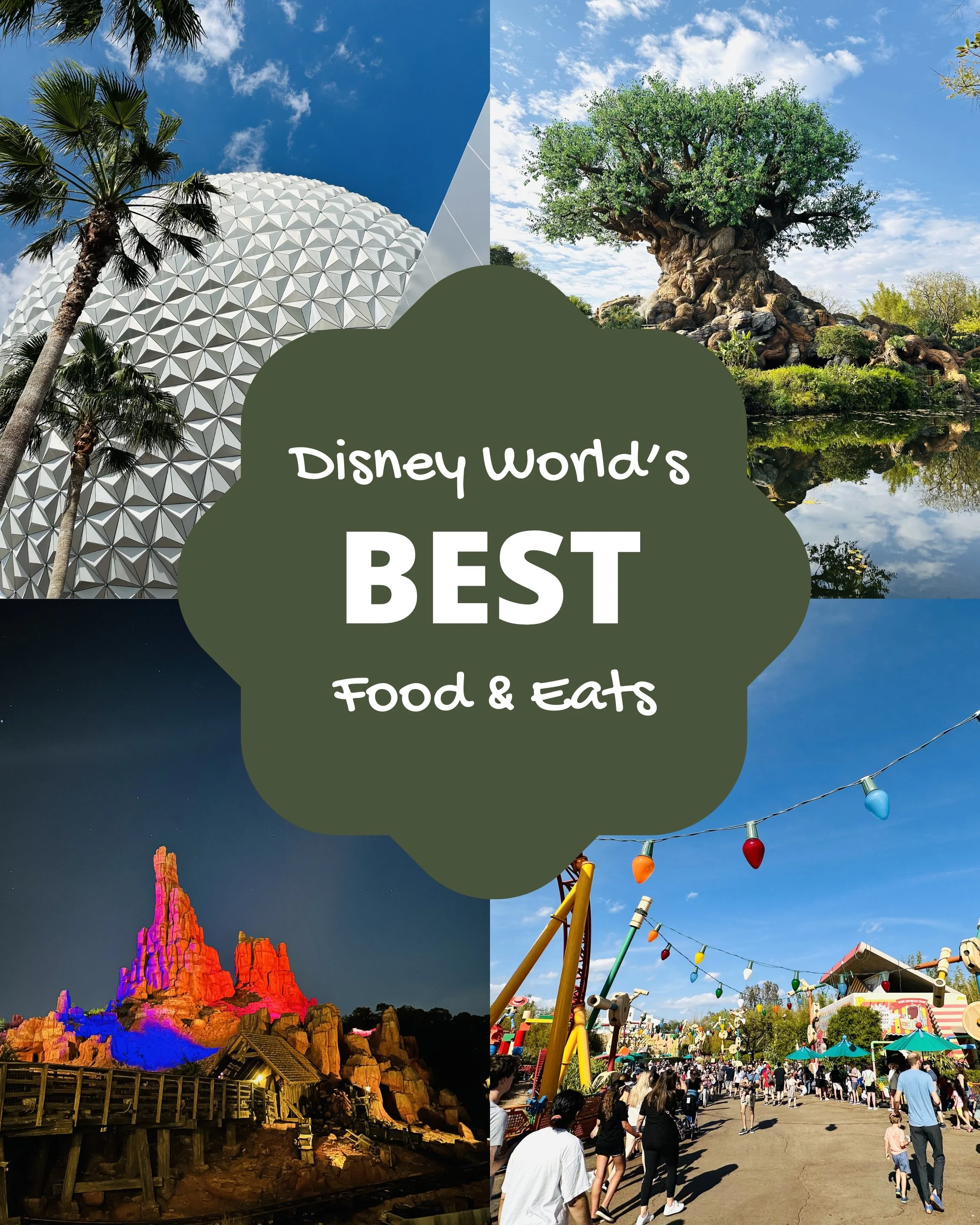 Best Eats at Disney World (All 4 Parks + Disney Springs)