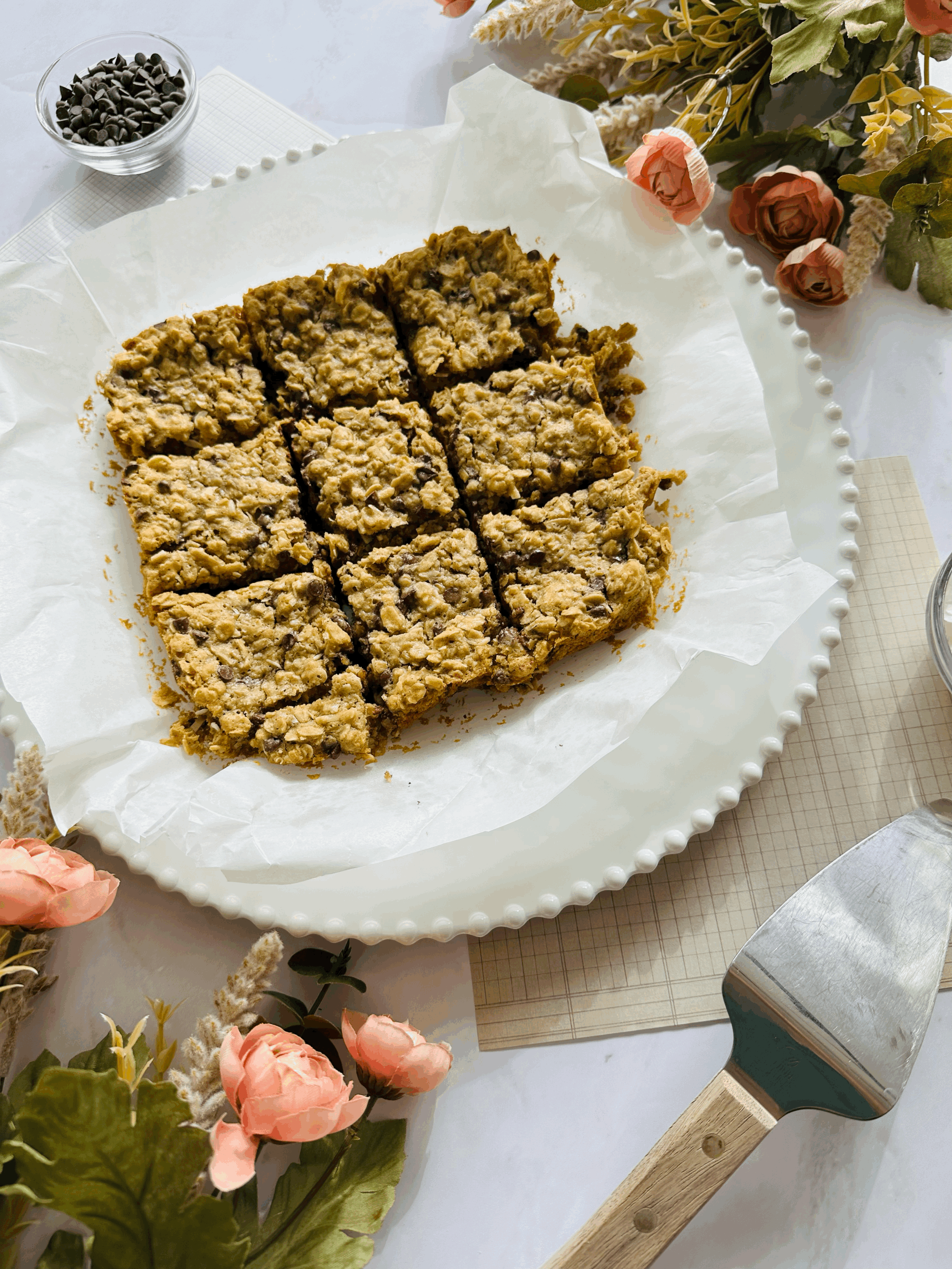 Chocolate Coconut Oatmeal Bars