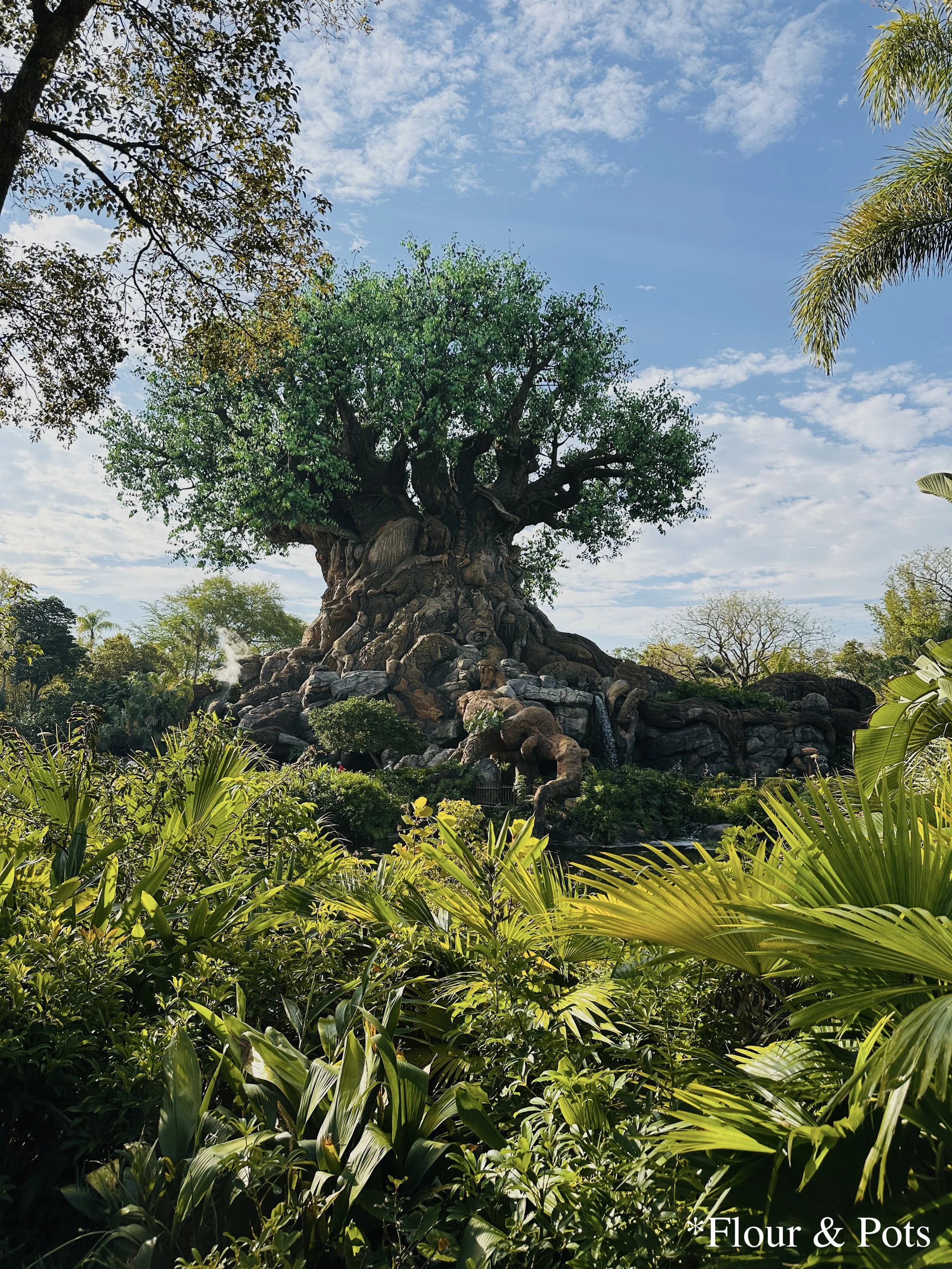 The Tree of Life at Disney's Animal Kingdom in Orlando, Florida, viewed from the backside. The serene scene captures the tree reflected on calm waters, surrounded by lush greenery and a peaceful atmosphere.