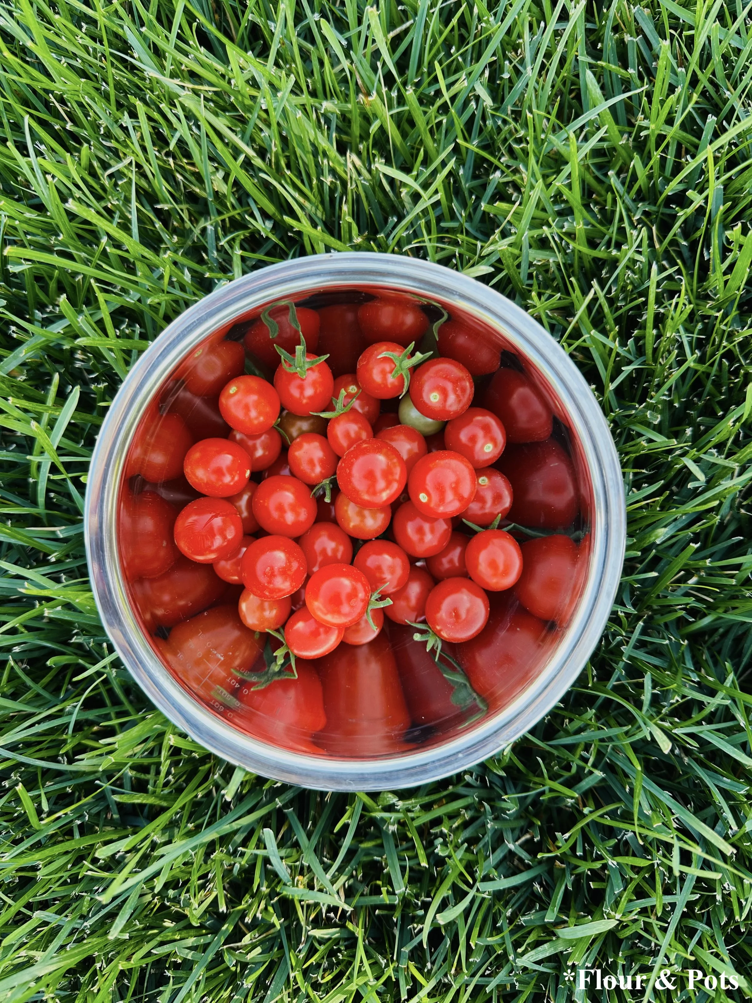 Fresh Cherry Tomatoes