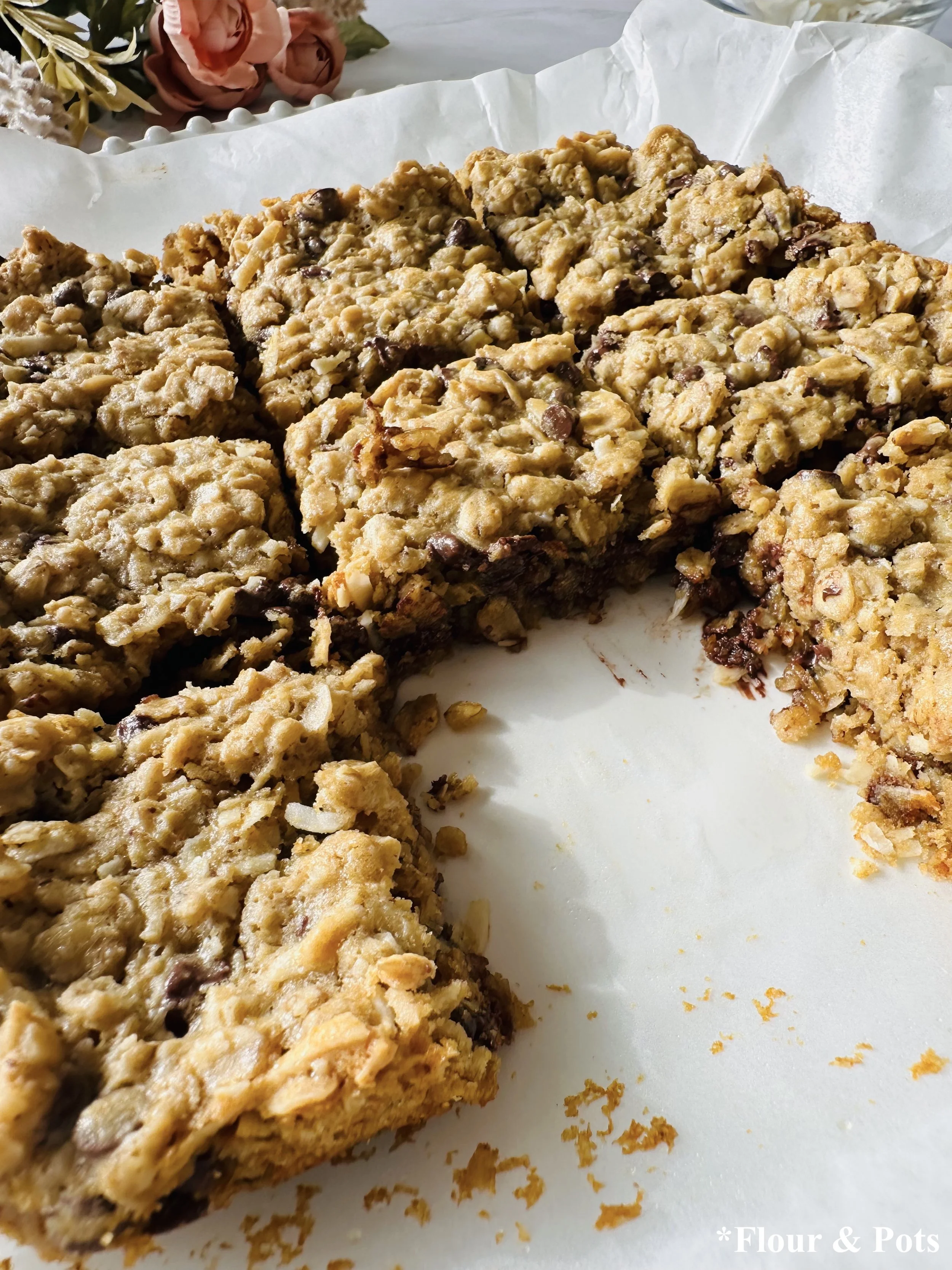 Close-Up of Chocolate coconut oatmeal bars - Gooey & Delicious