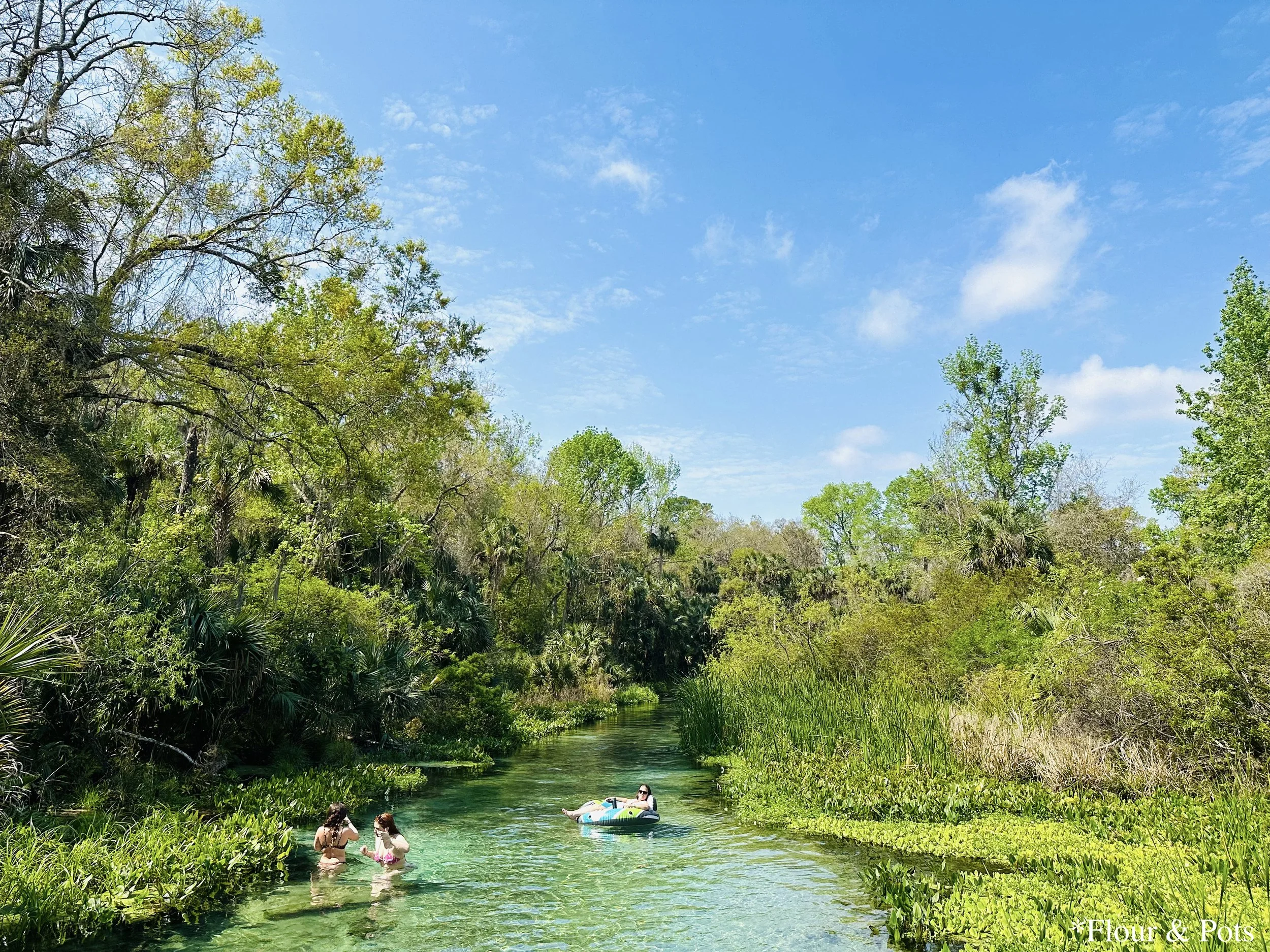 Visitors enjoying the clear spring river at Kelly Park on a sunny March day in Apopka, Florida.