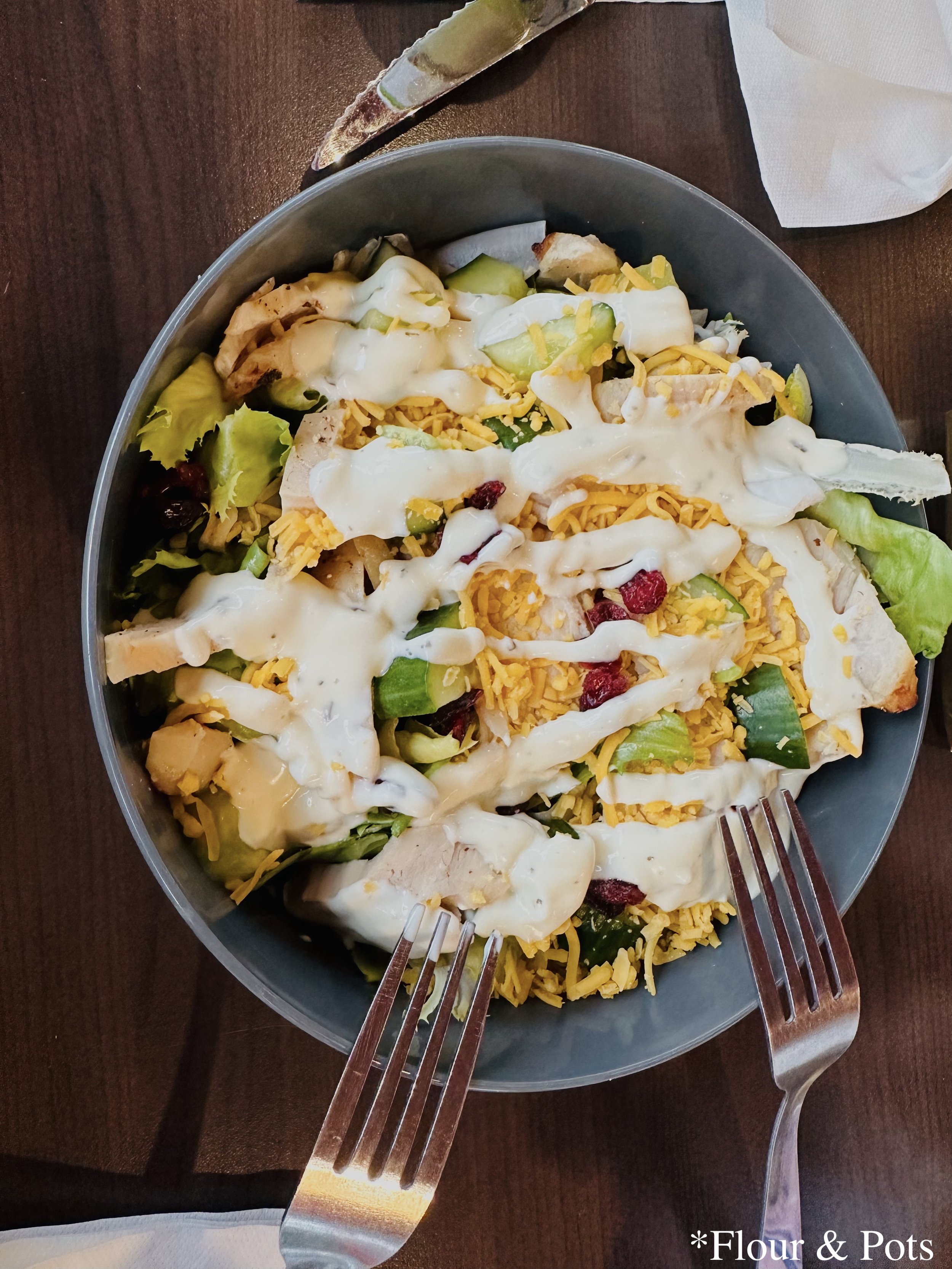 arl’s Cobb Salad with grilled chicken, mature cheddar, greens, cucumber, cranberries, and buttermilk ranch dressing from Earl of Sandwich in Disney Village near Disneyland Paris.