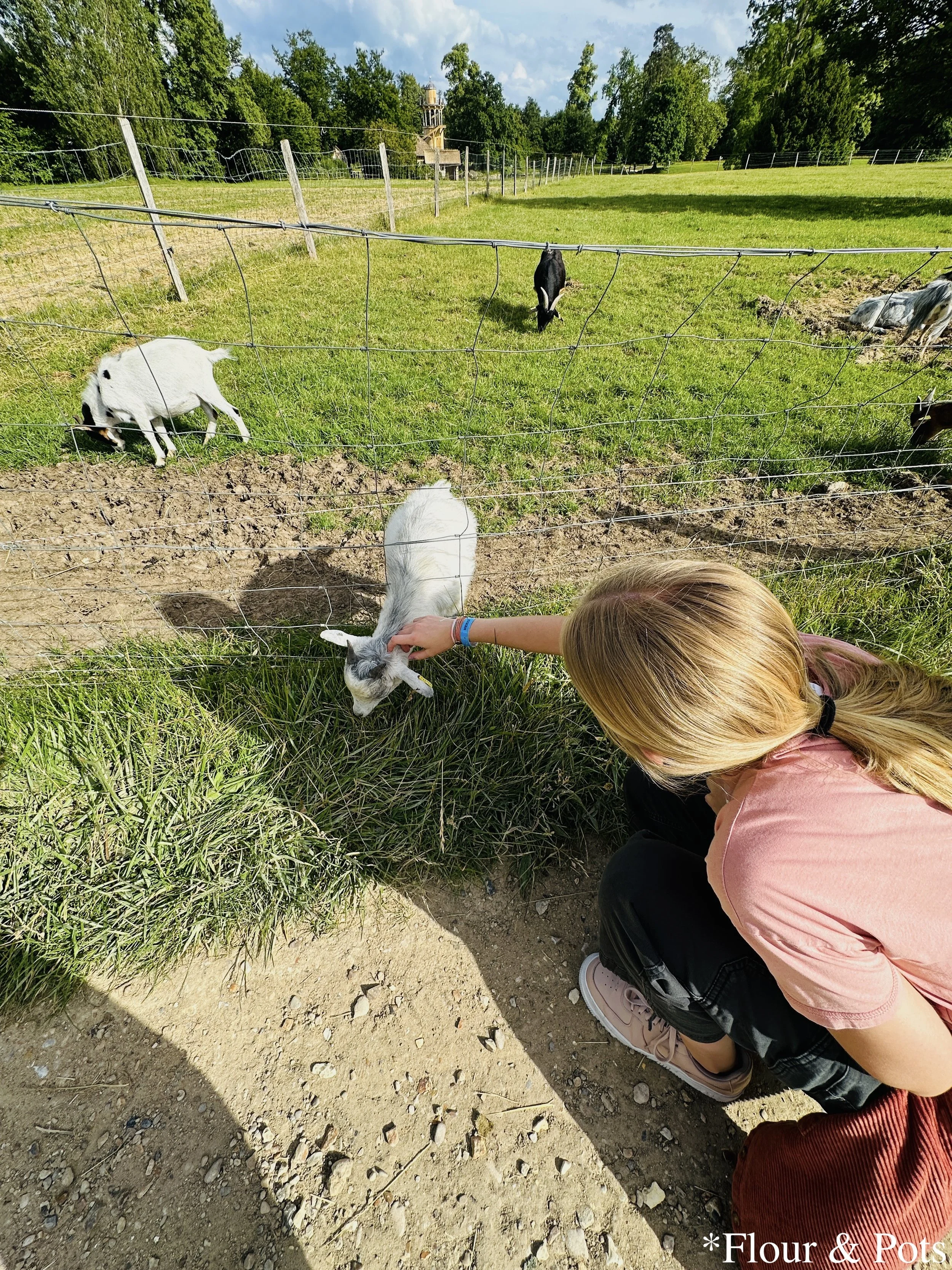 My little sister gently petting a small goat at the farm in the Queen’s Hamlet, Palace of Versailles.
