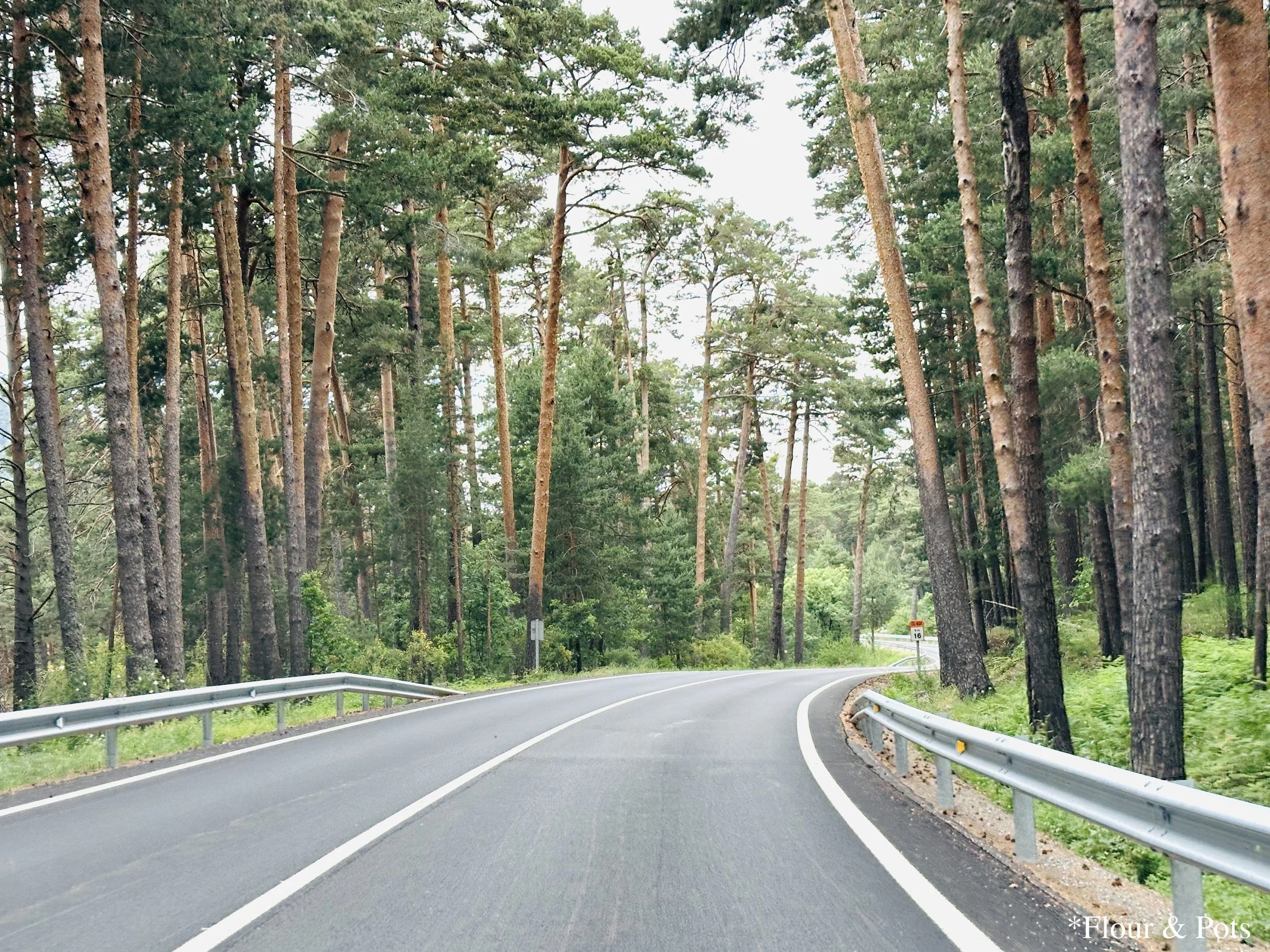 A scenic view of a wooded drive through the mountainous terrain just north of Madrid, Spain, on the way to Segovia. The lush greenery of the trees contrasts with the rocky, hilly landscape under a partly cloudy sky.