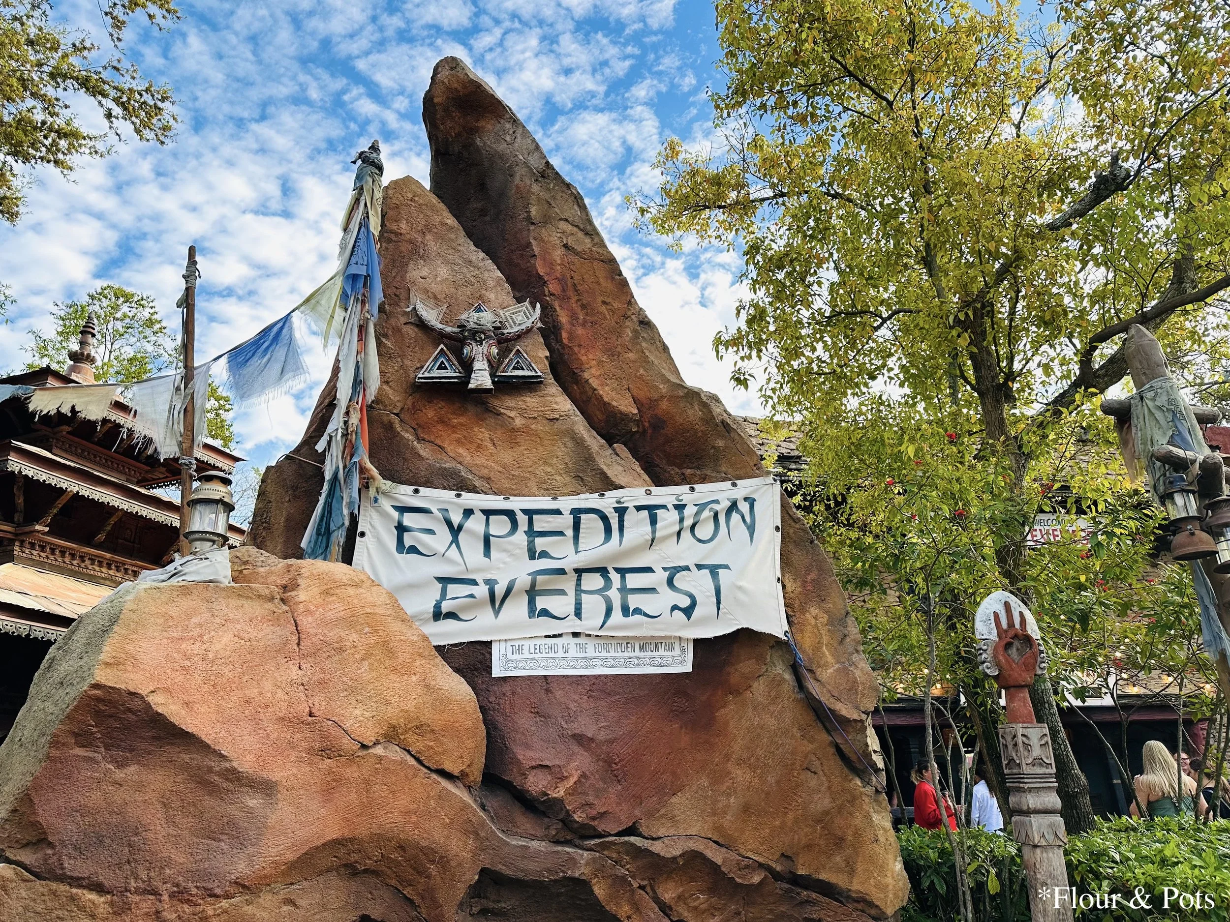 A realistic and colorful sign for Expedition Everest at Disney's Animal Kingdom in Orlando, Florida, featuring Himalayan-inspired design elements and bold lettering that reflect the adventurous theme of the ride.