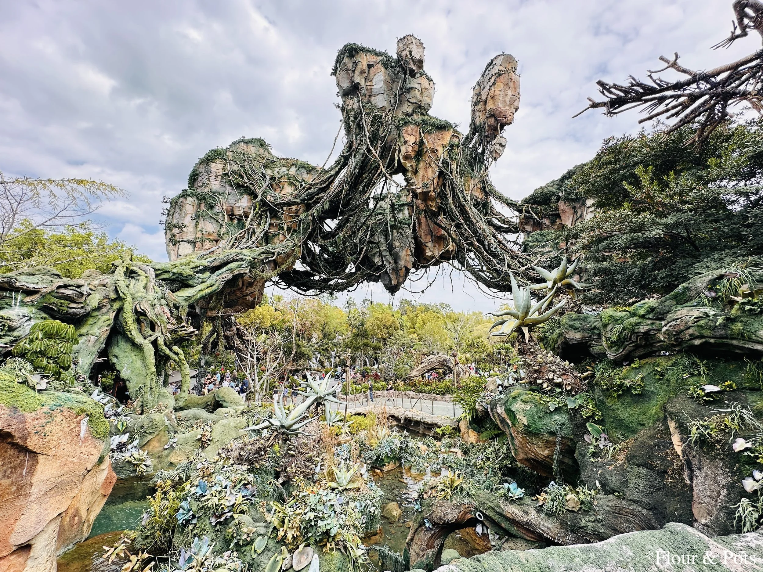 View of the floating rocks in Pandora – The World of Avatar, seen from the queue of Avatar Flight of Passage at Disney's Animal Kingdom in Orlando, Florida. The towering, moss-covered rocks appear to defy gravity, creating an otherworldly atmosphere.